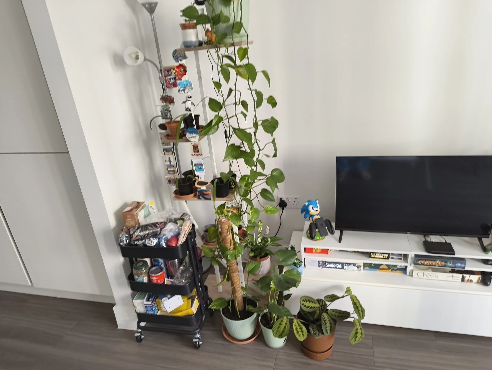 image-14