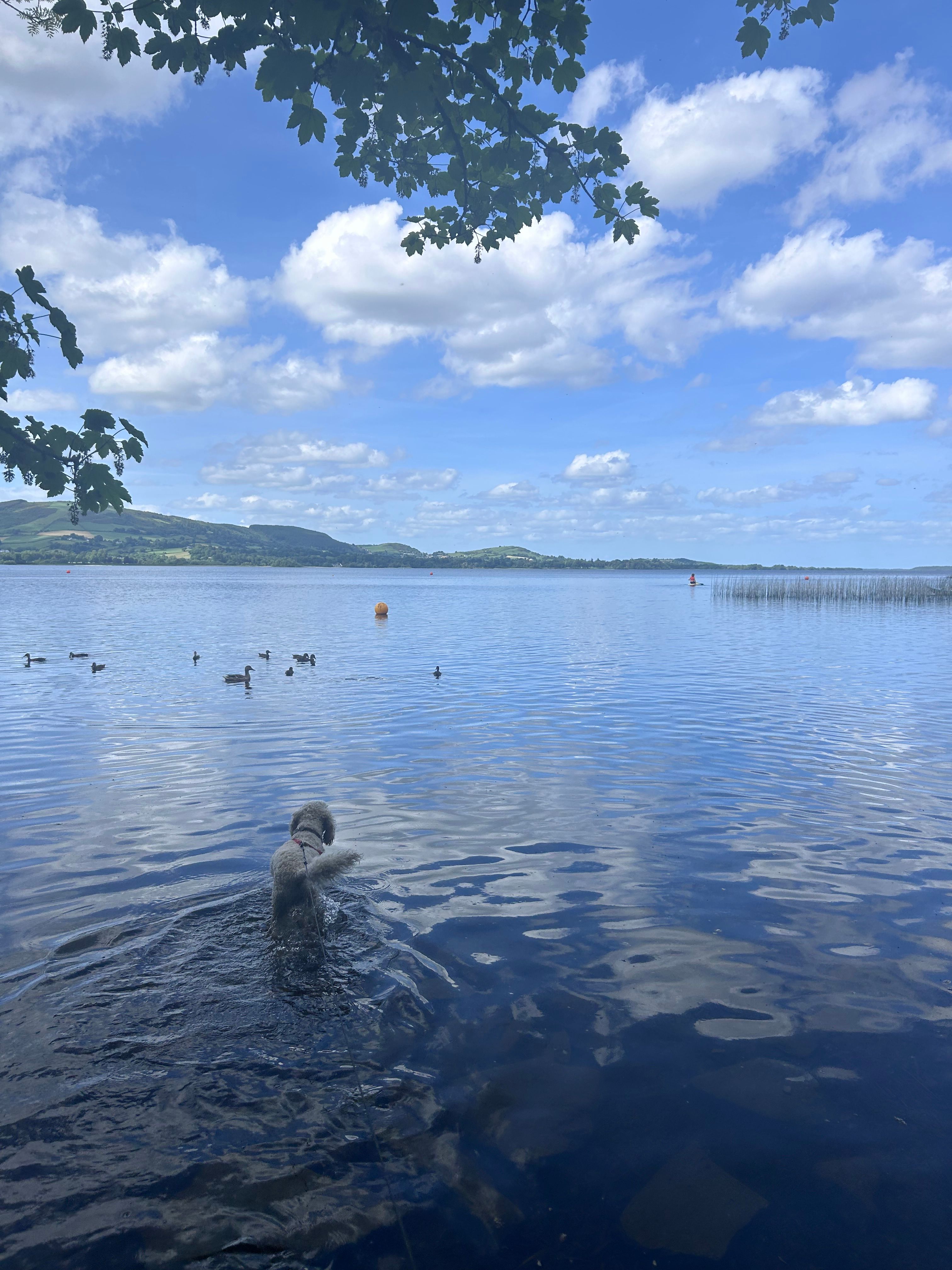image-11