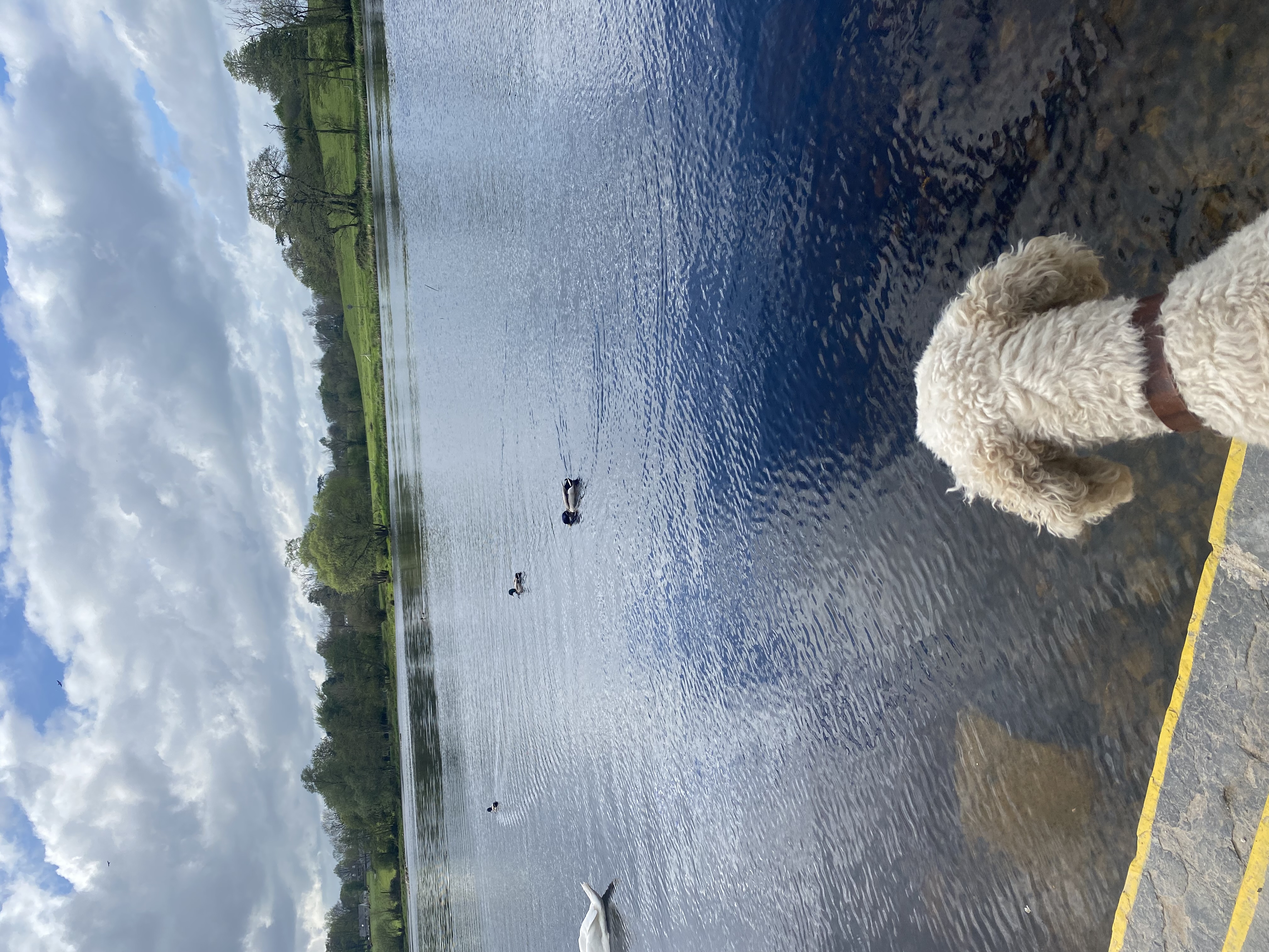 image-2