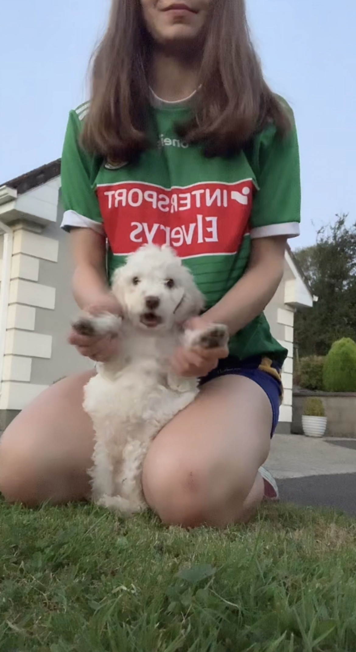 image-10
