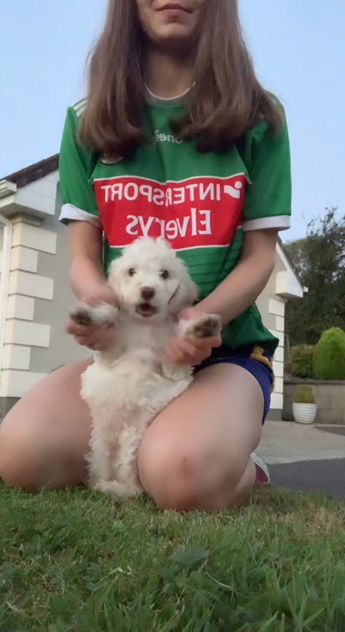 image-10