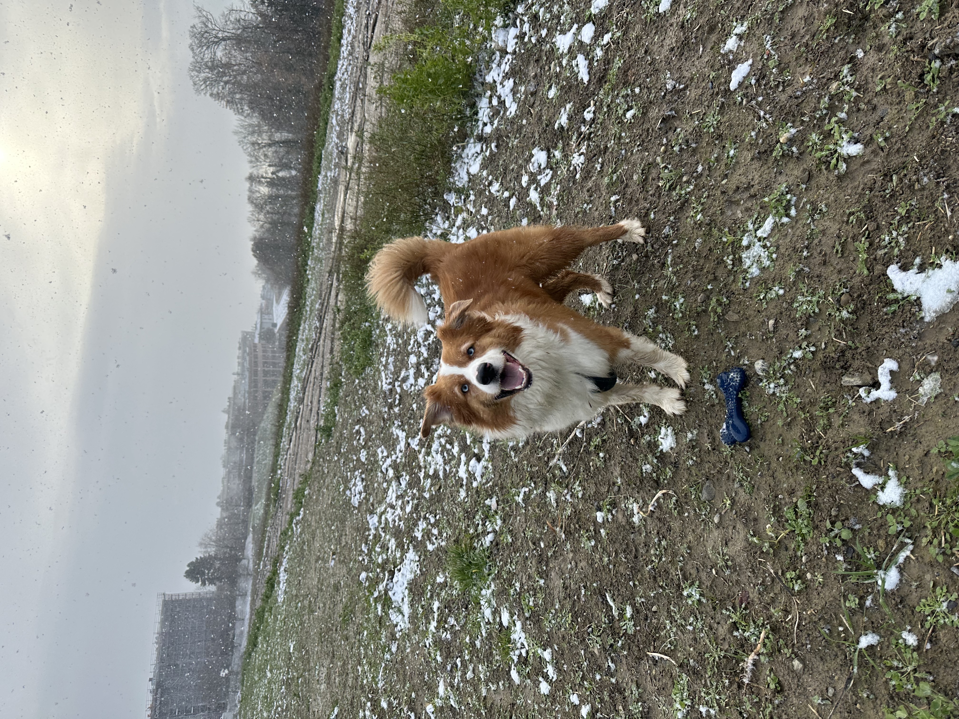 image-16