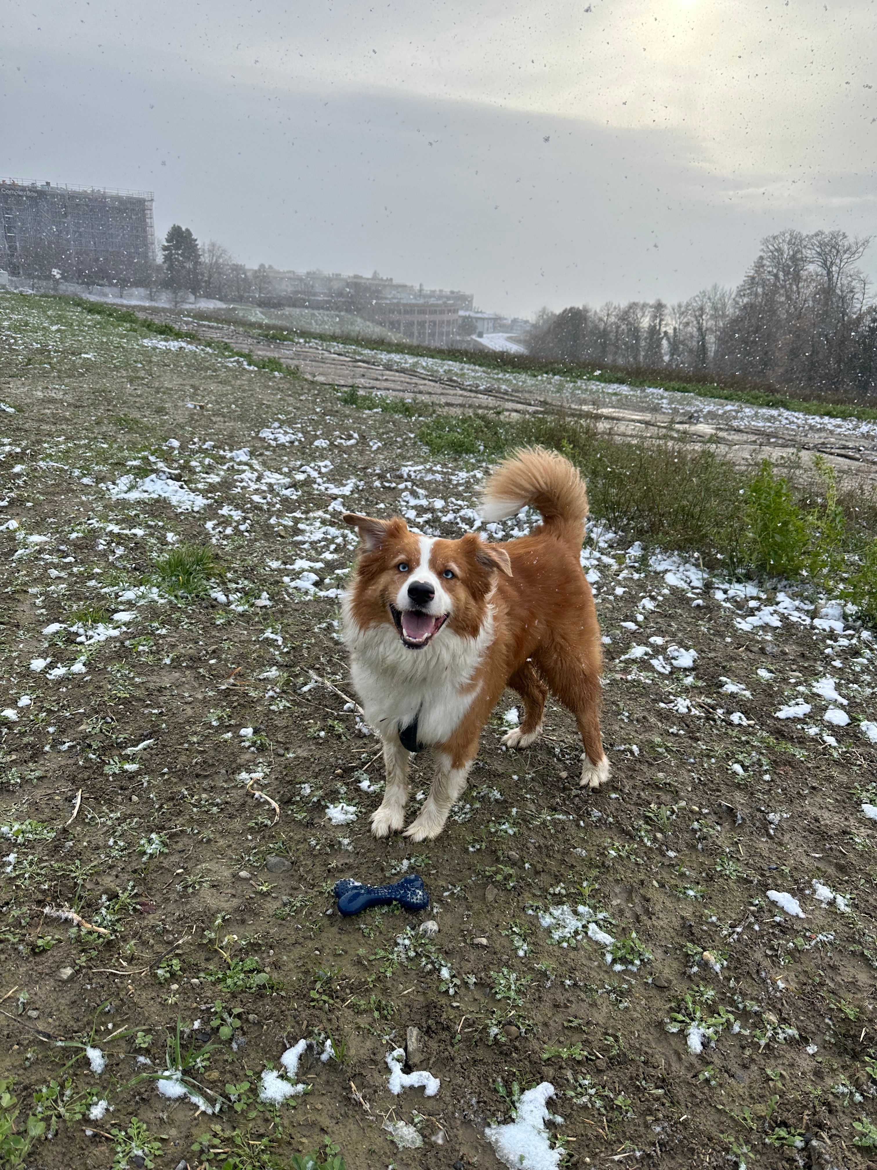 image-16