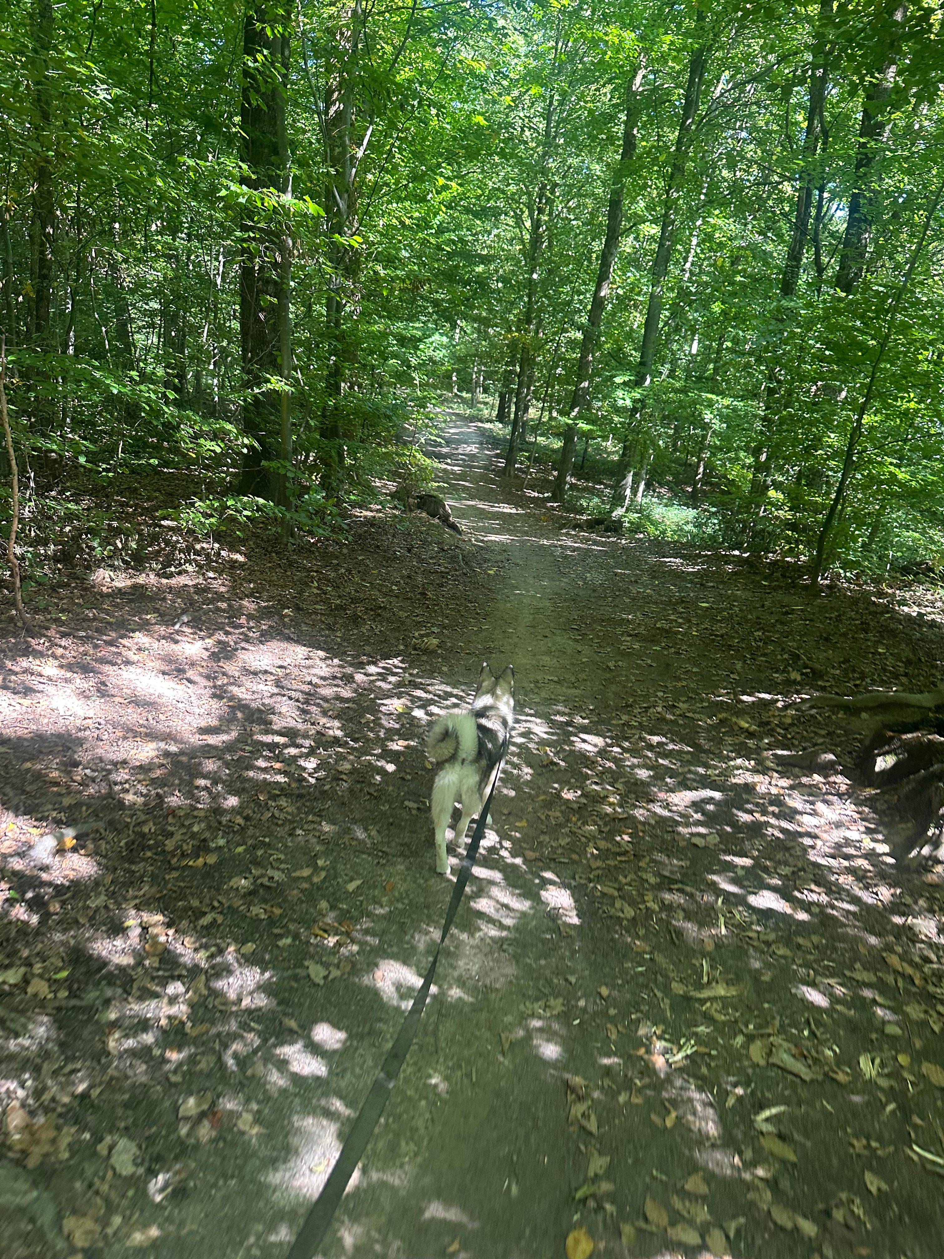 image-18