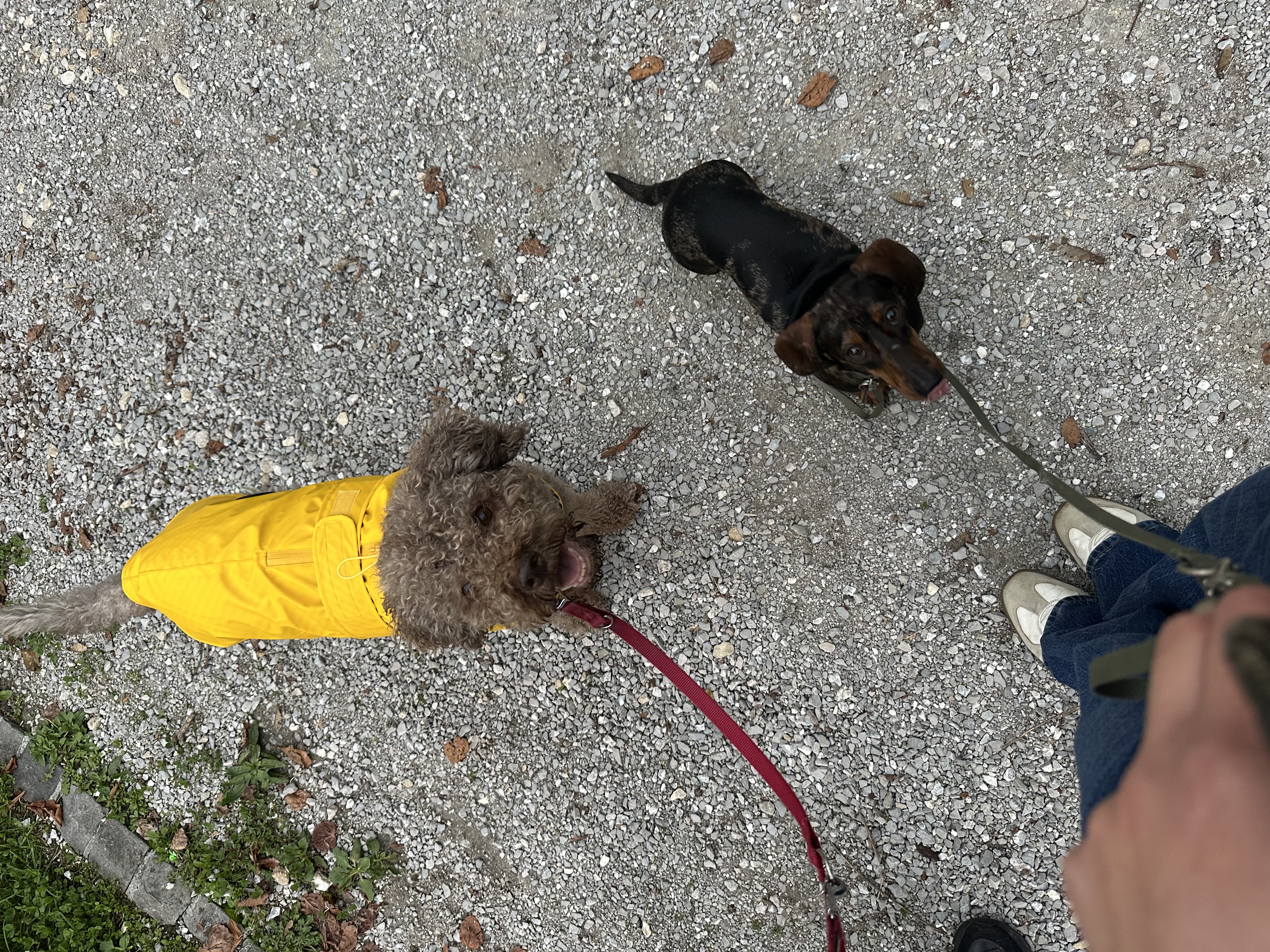 image-9