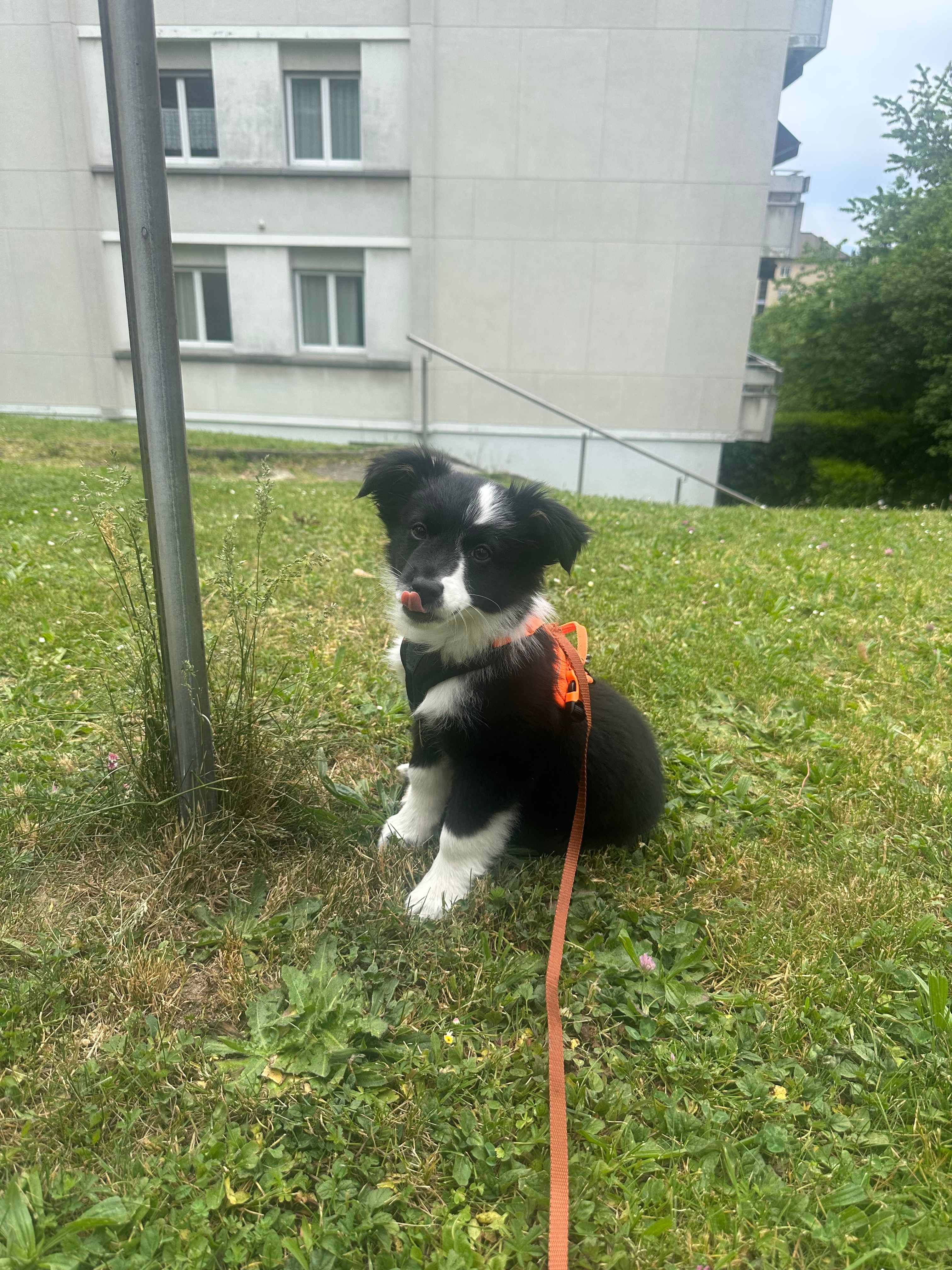 image-20