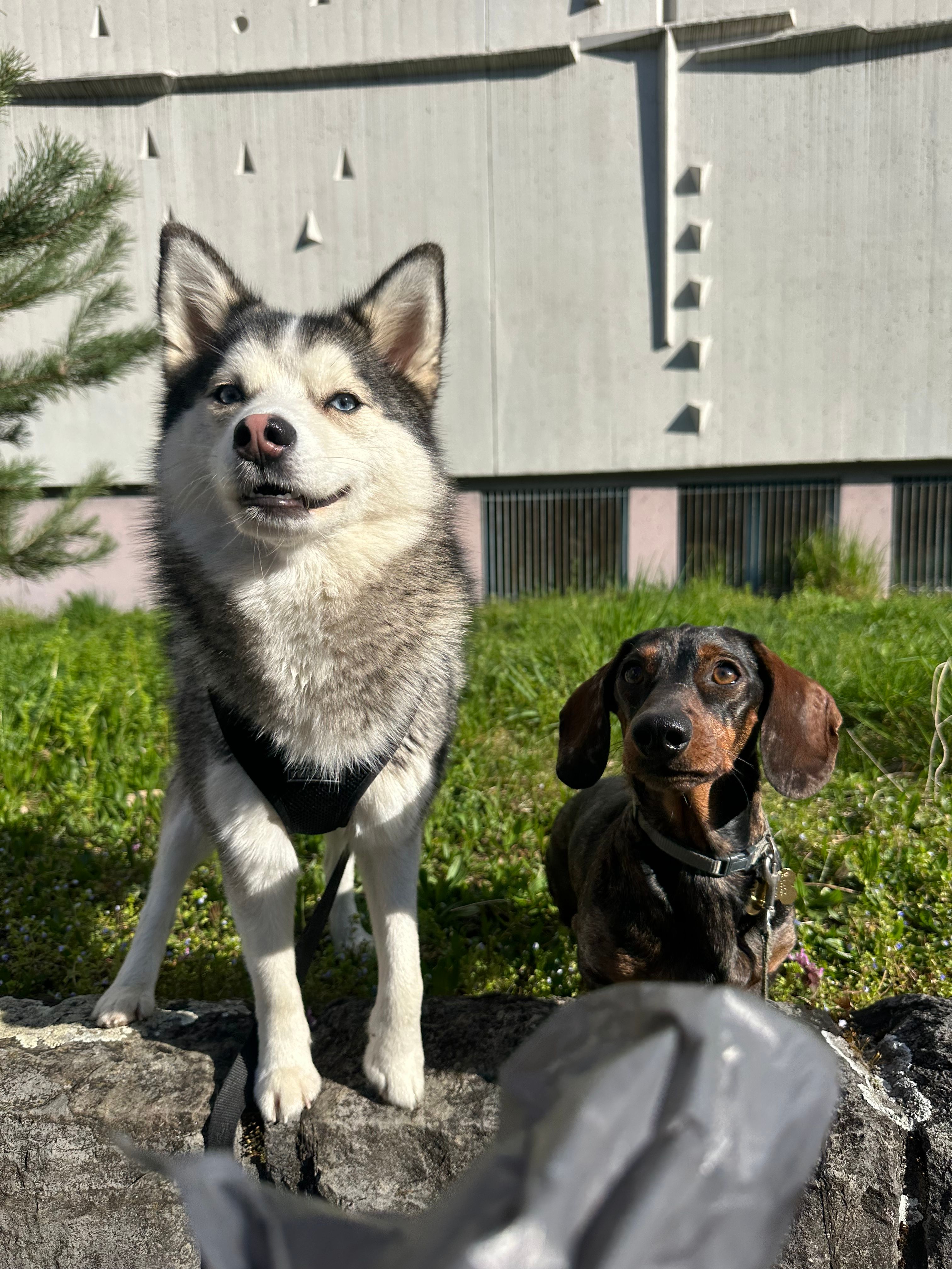 image-6