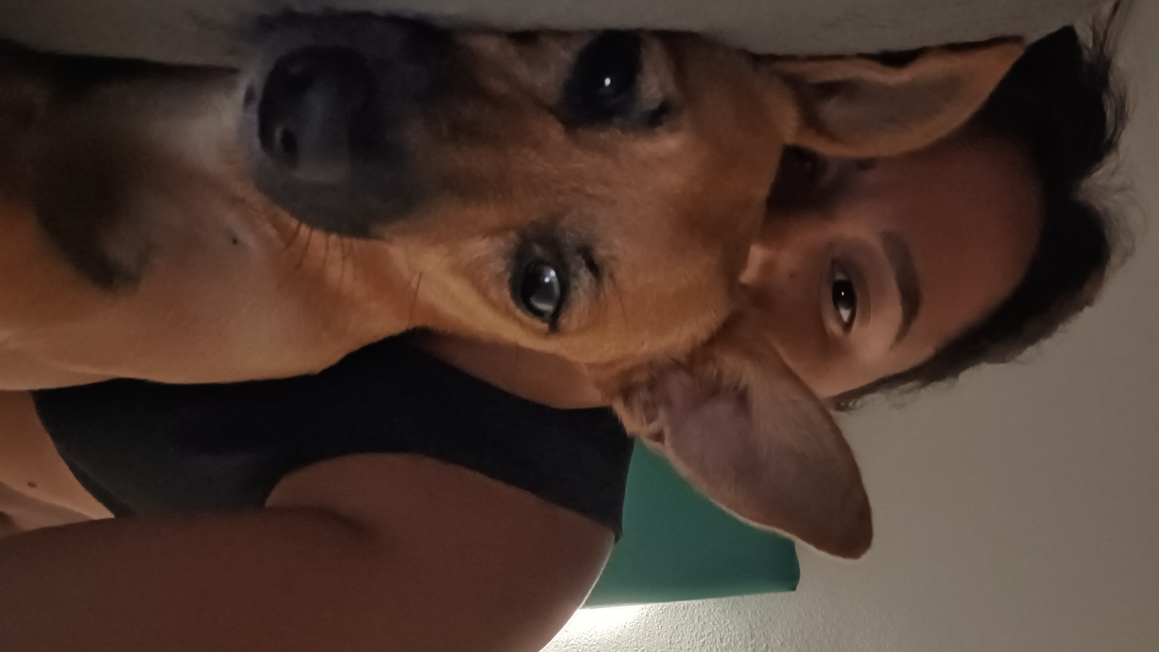 image-14