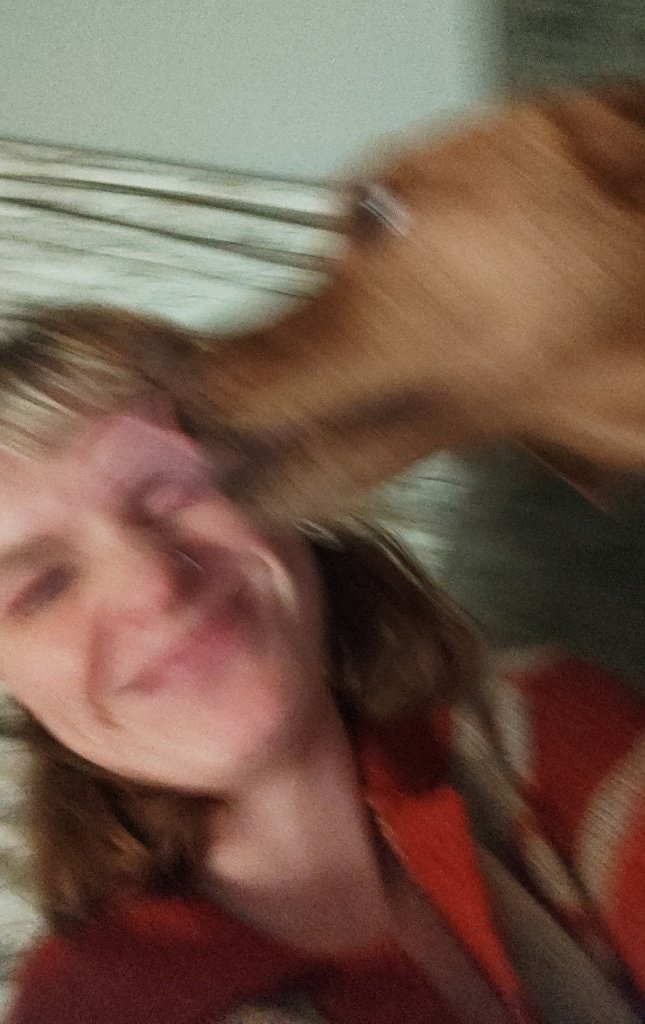 image-2
