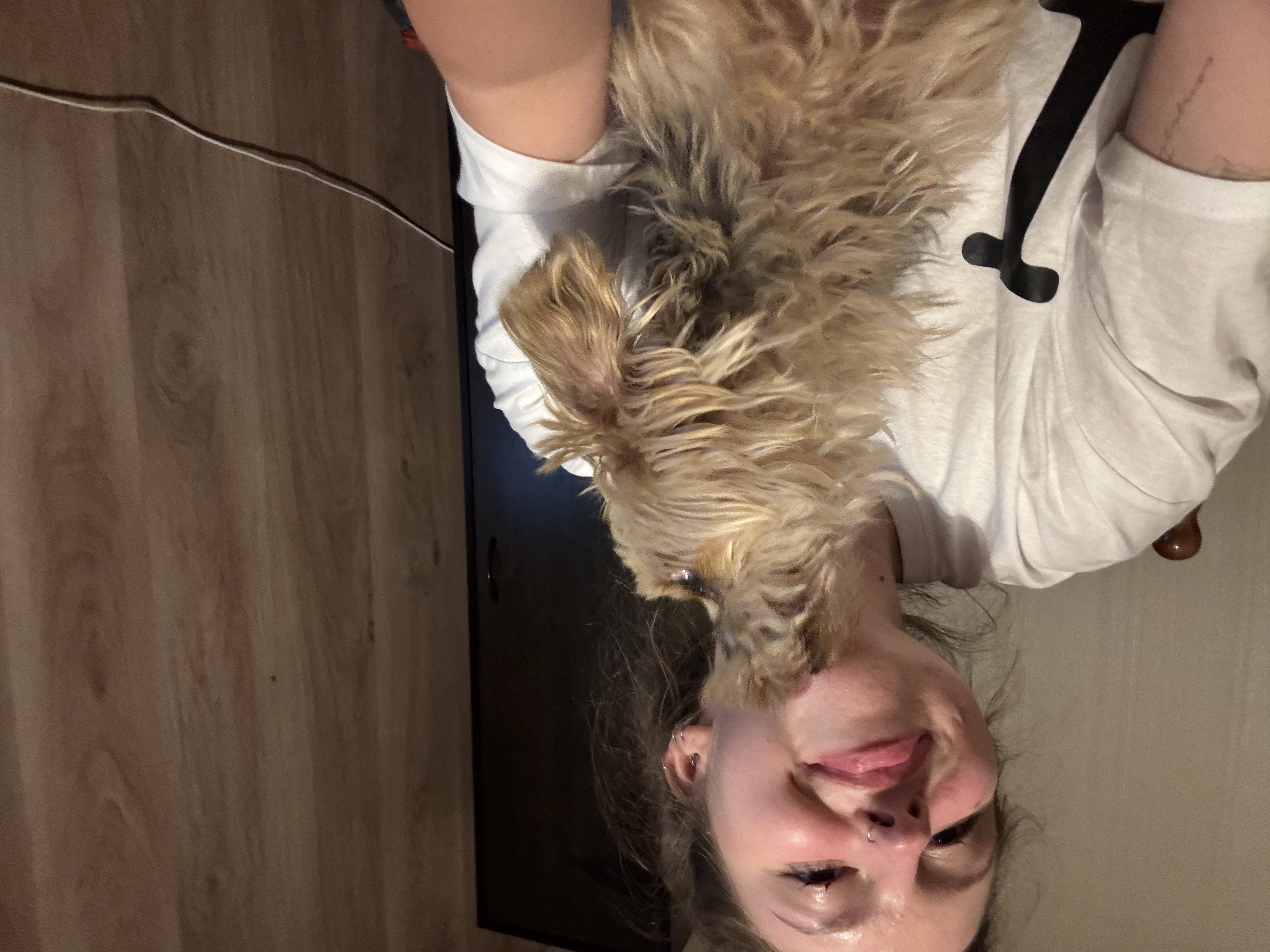 image-5