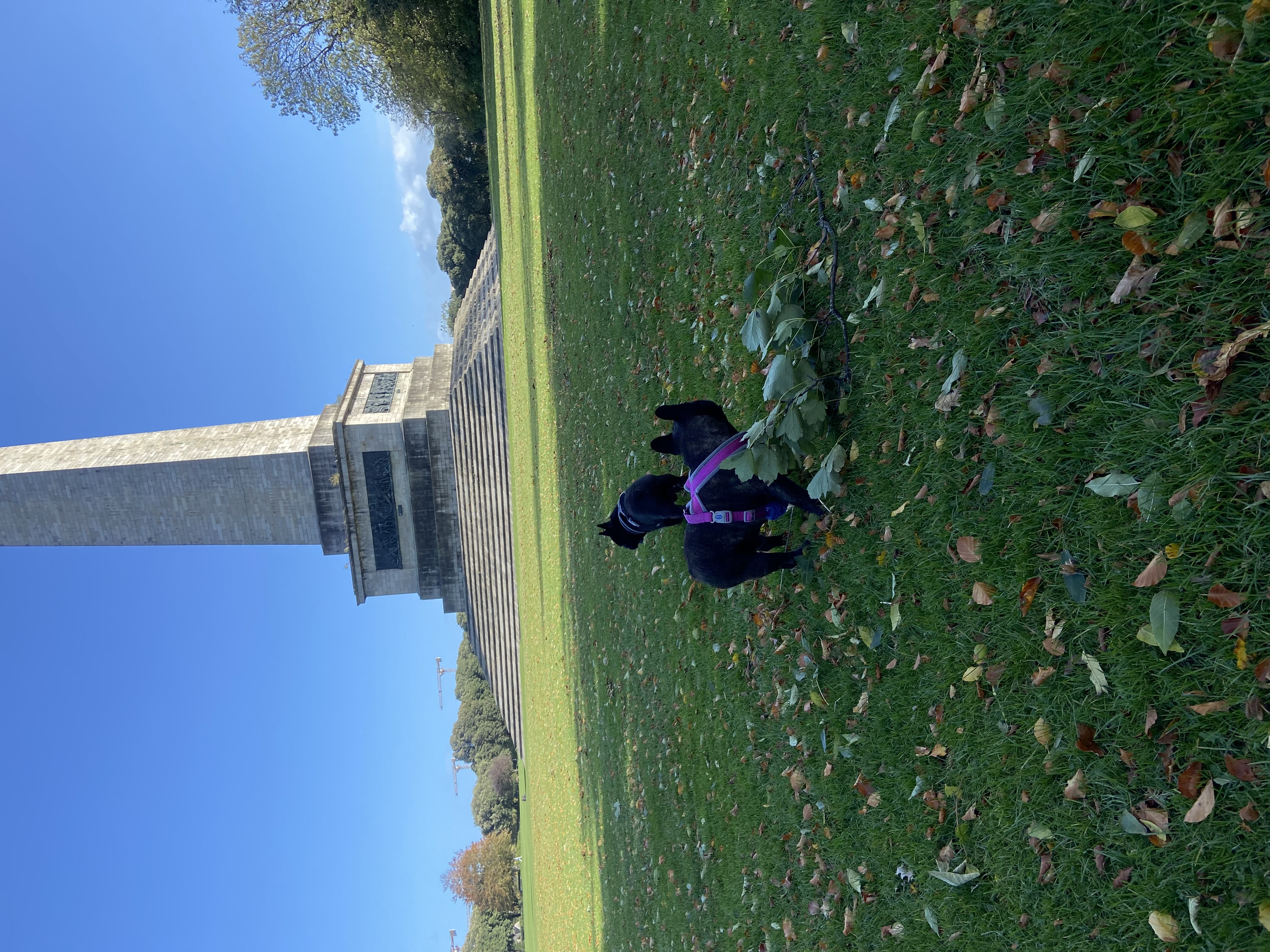 image-8