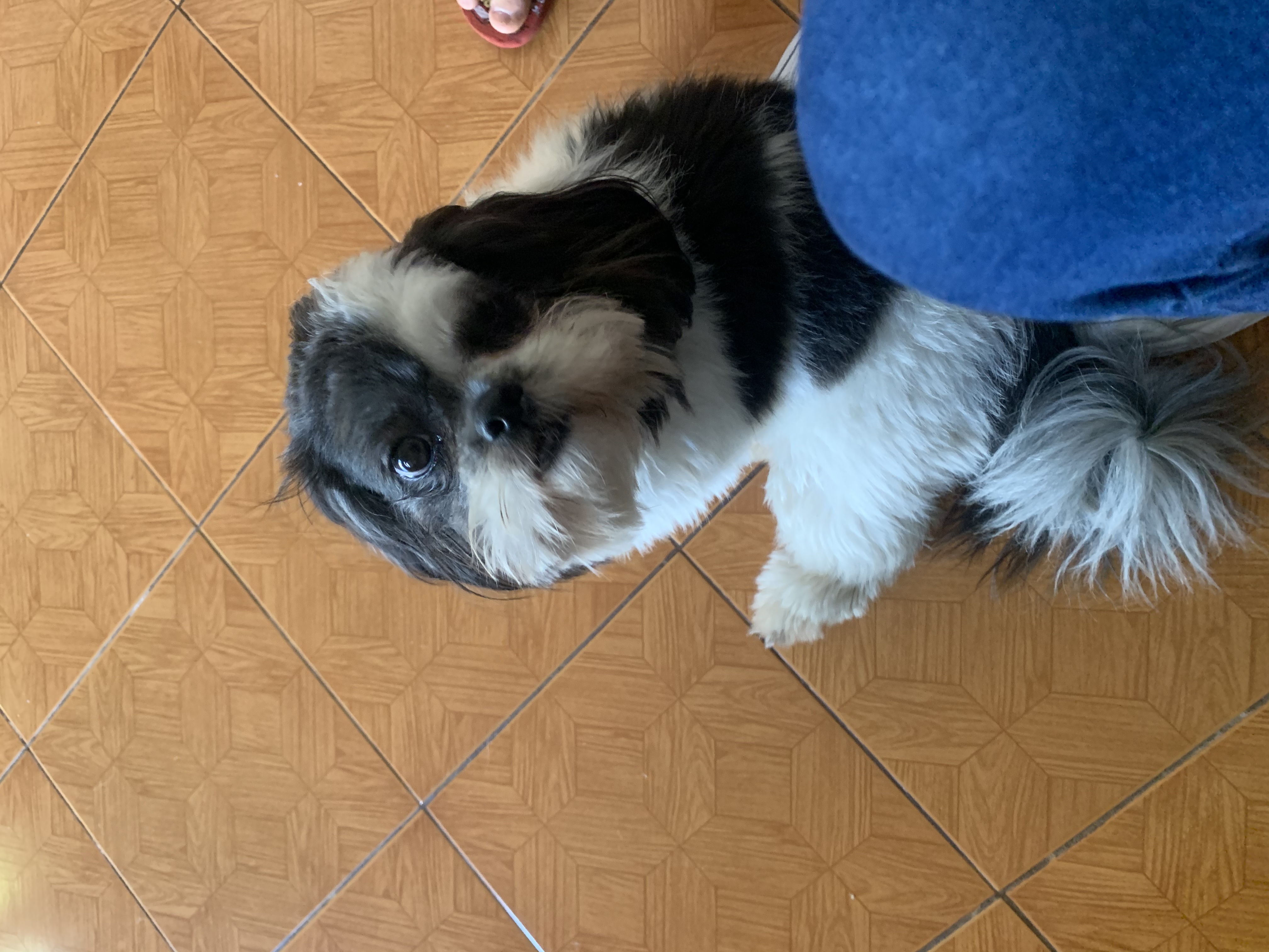 image-9