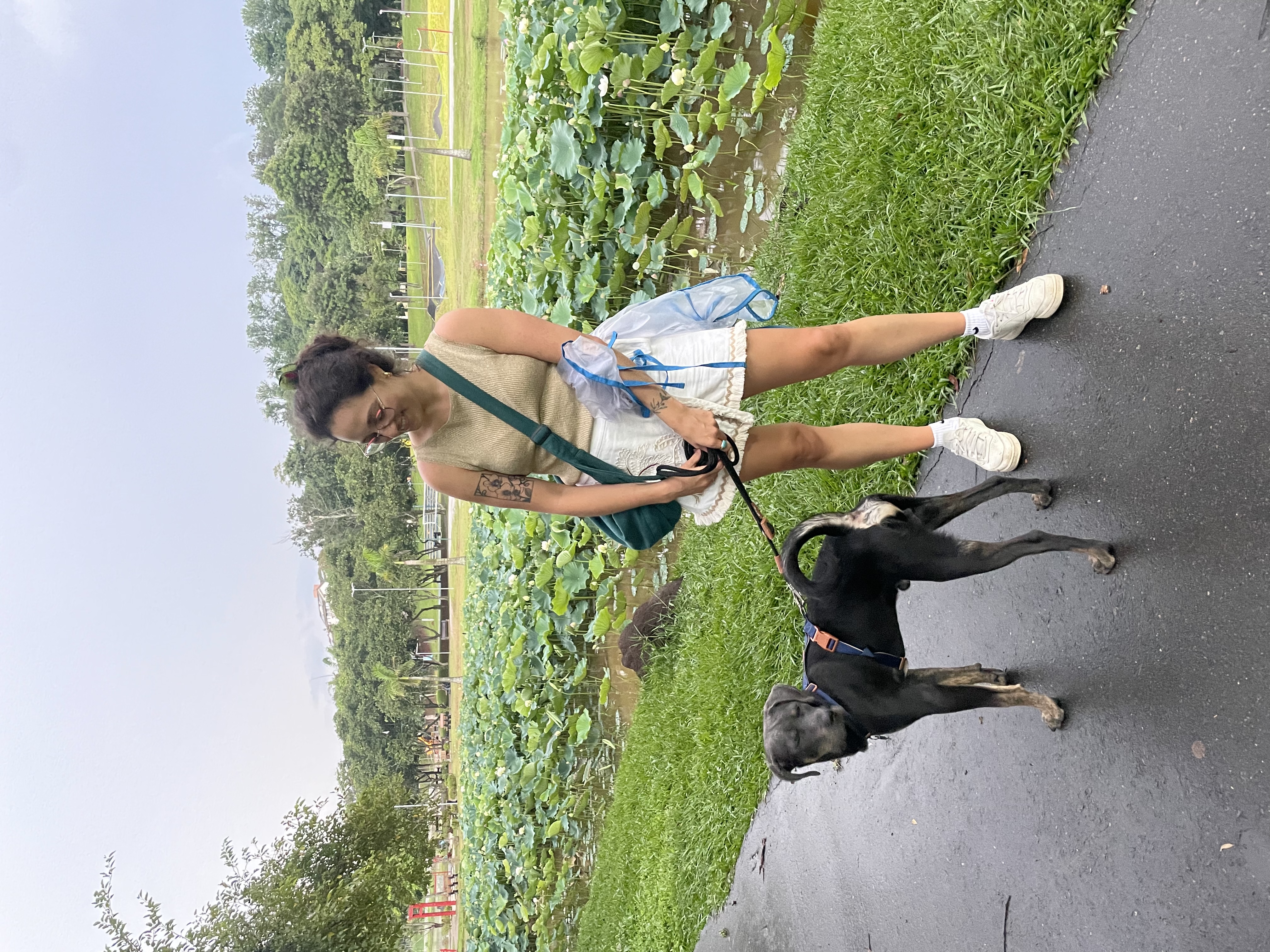 image-4