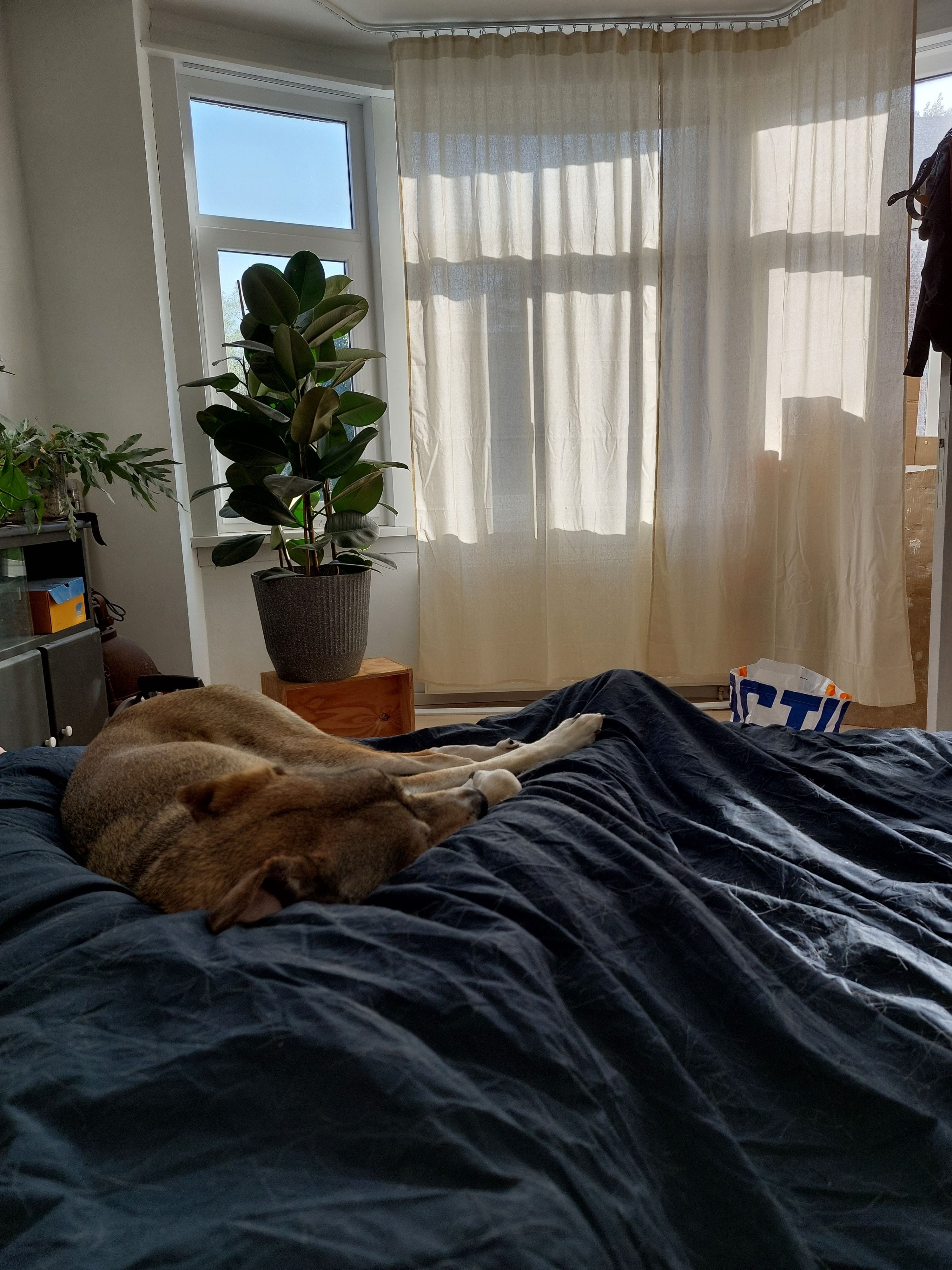 image-14
