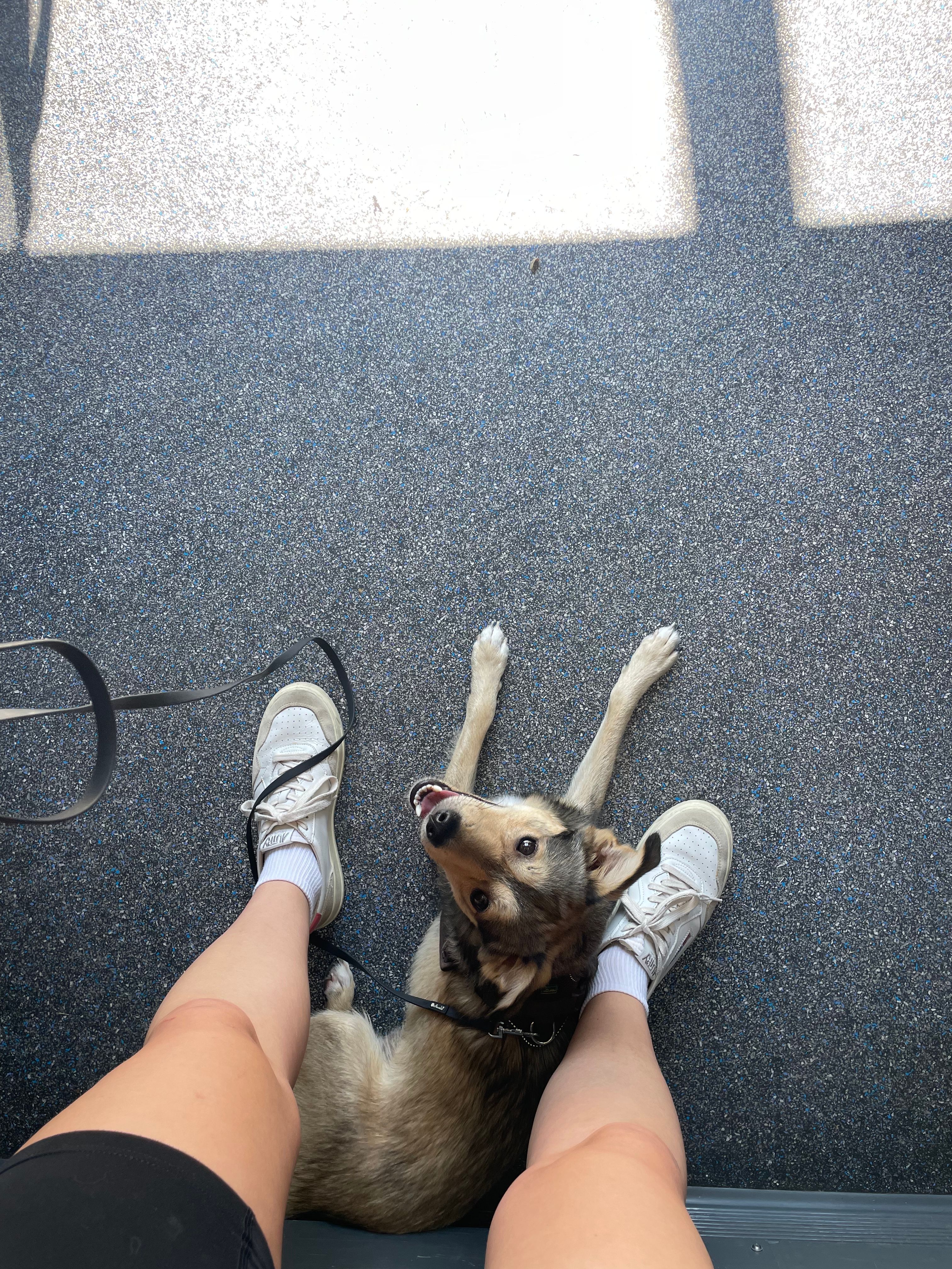image-8