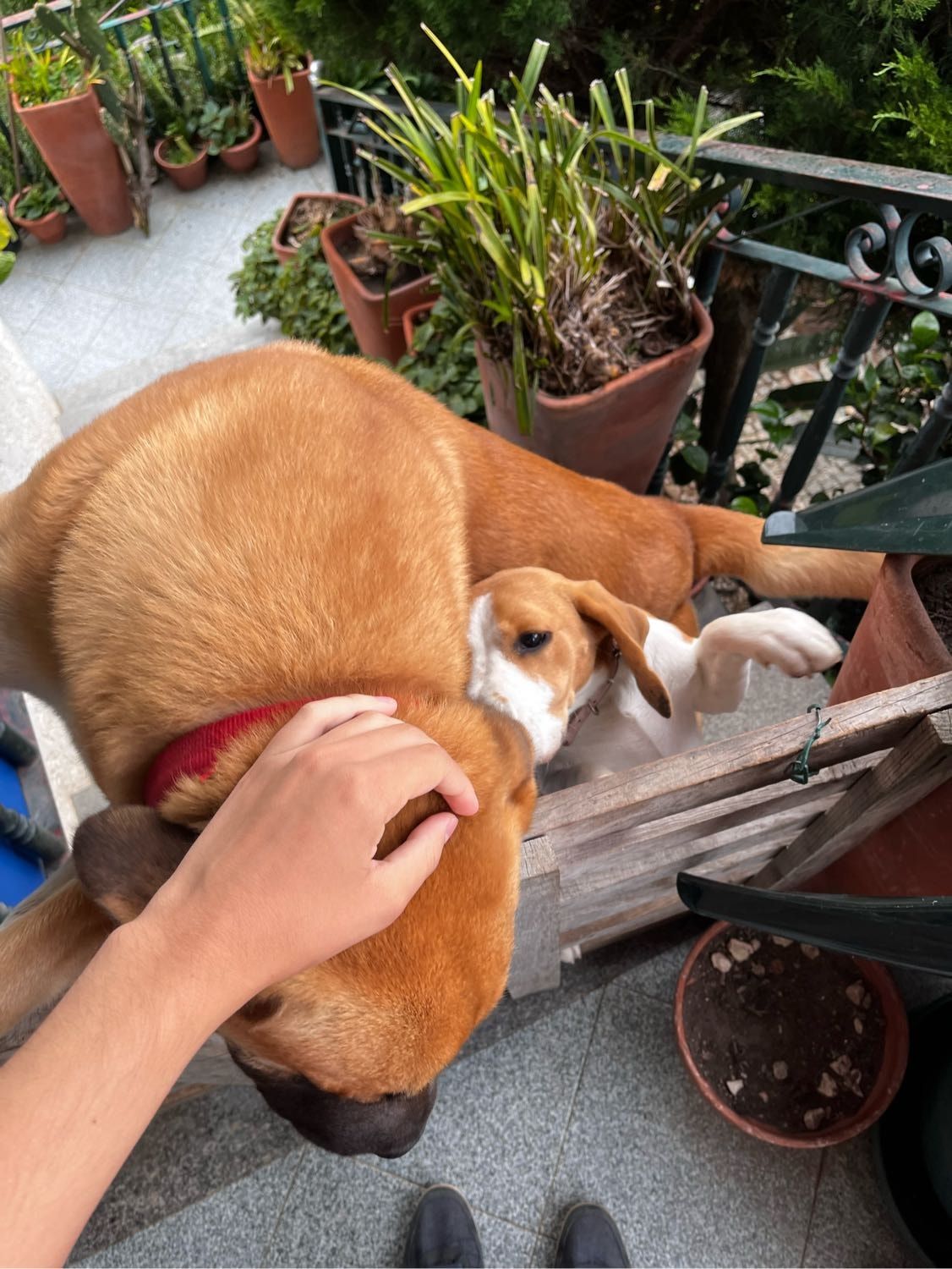 image-6