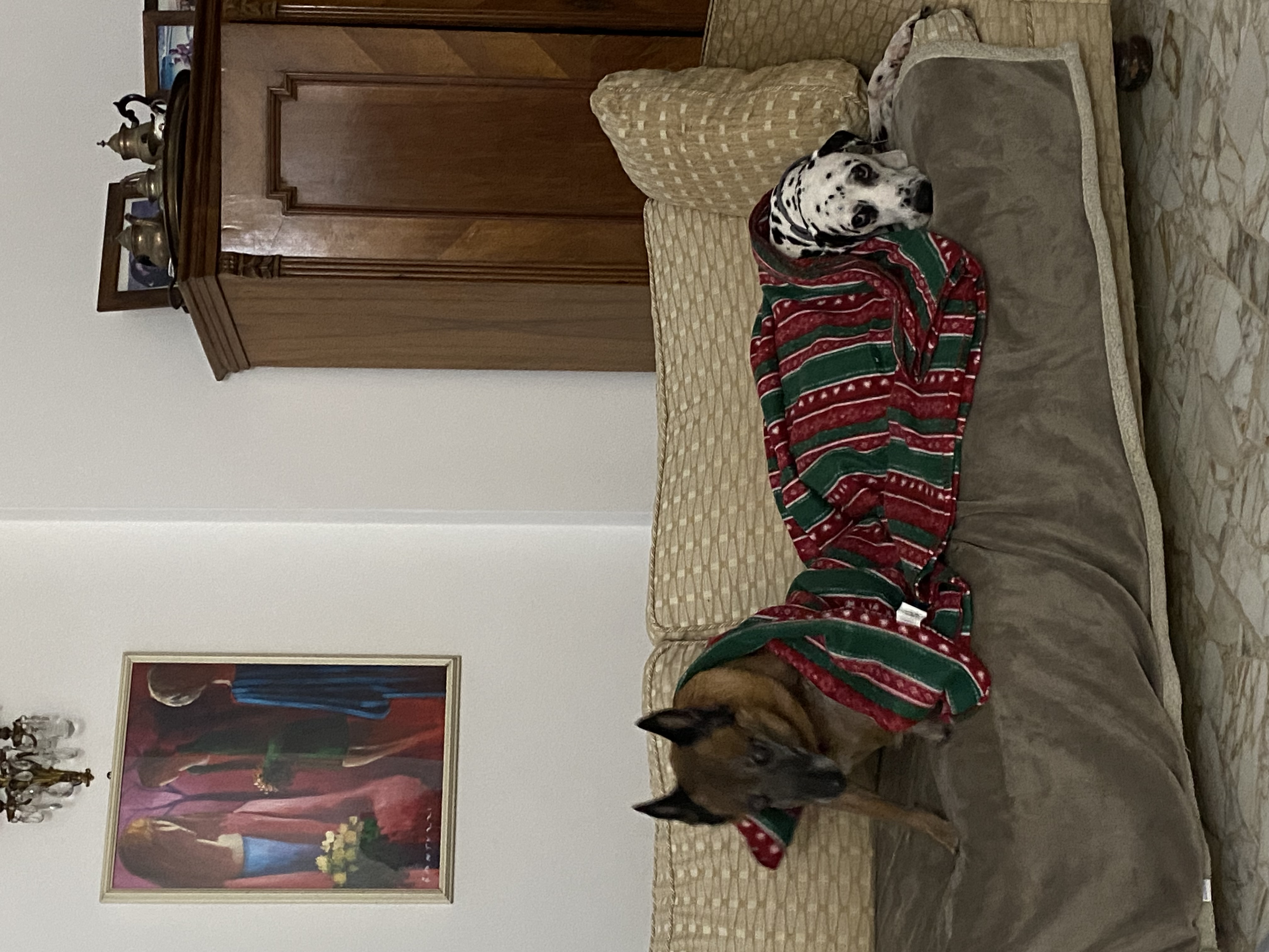 image-9