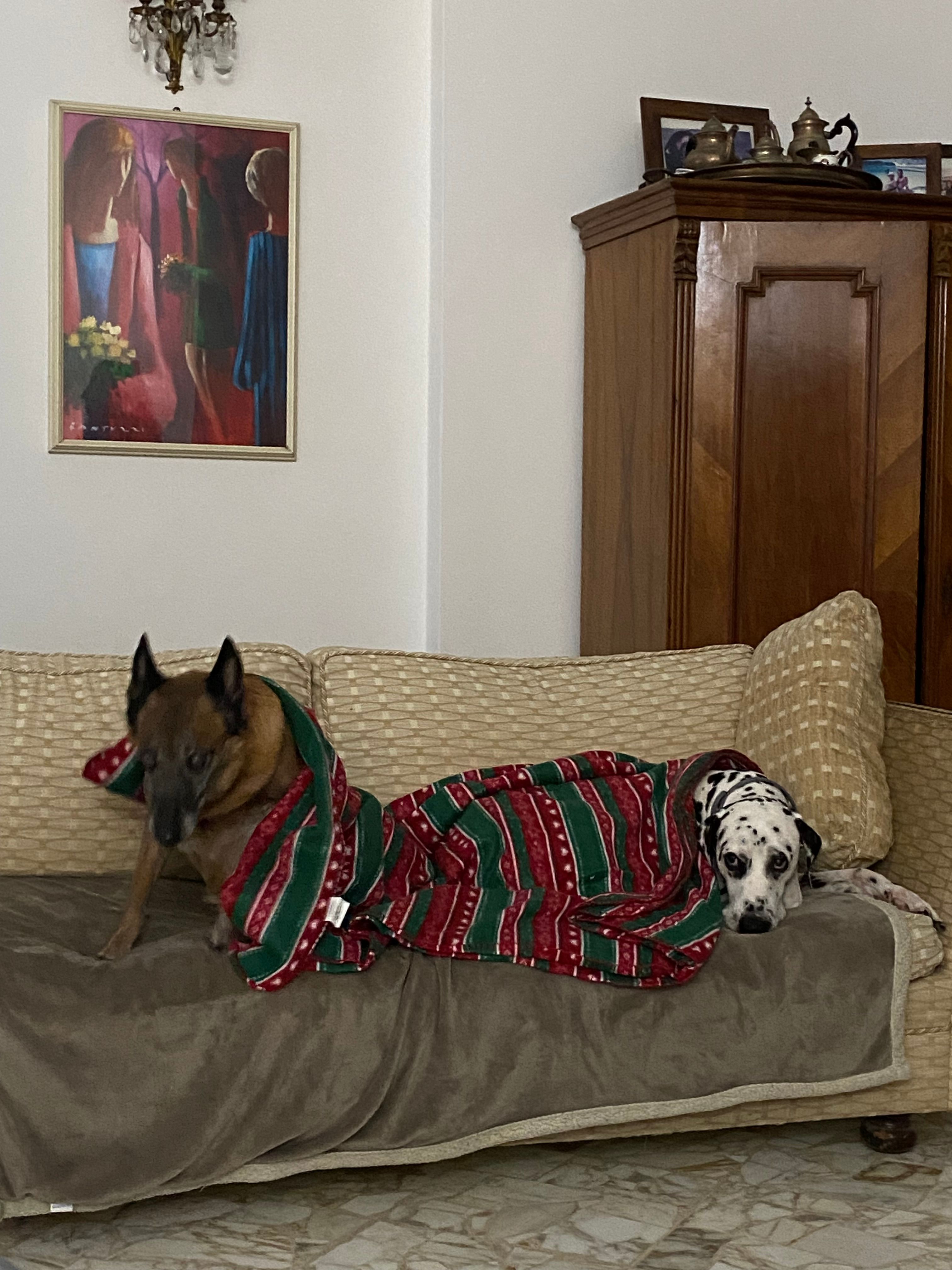 image-9