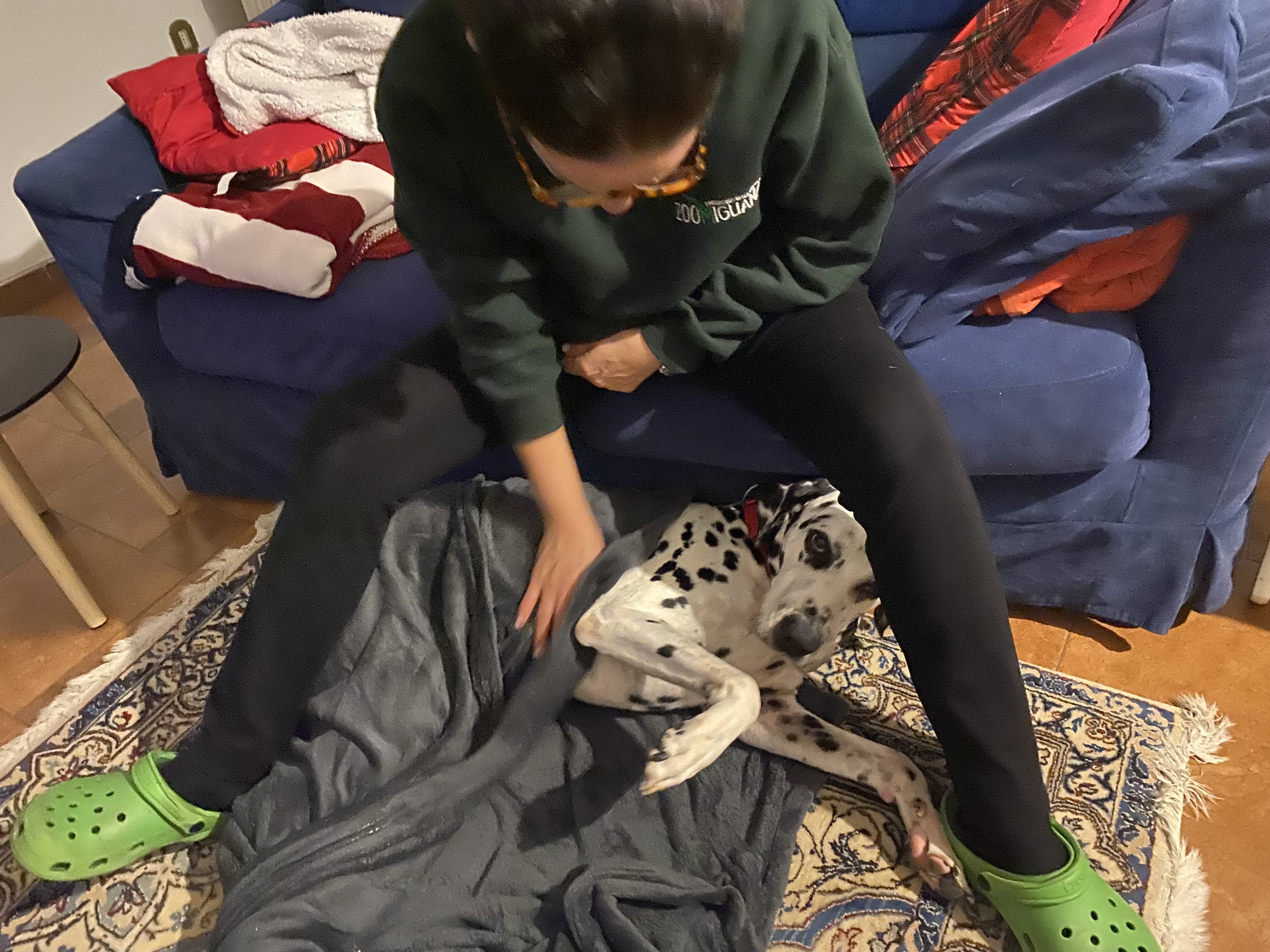 image-6
