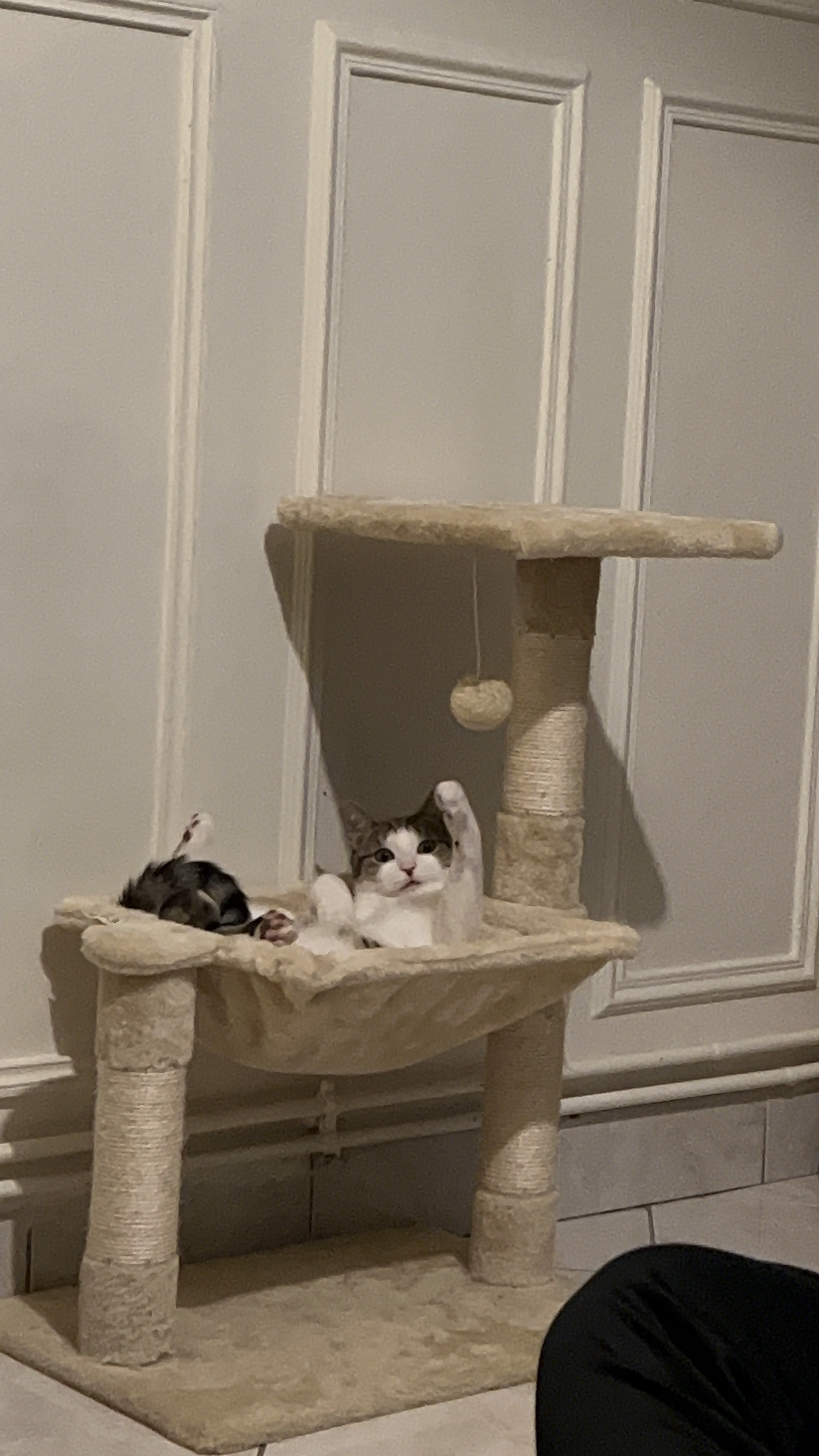 image-7