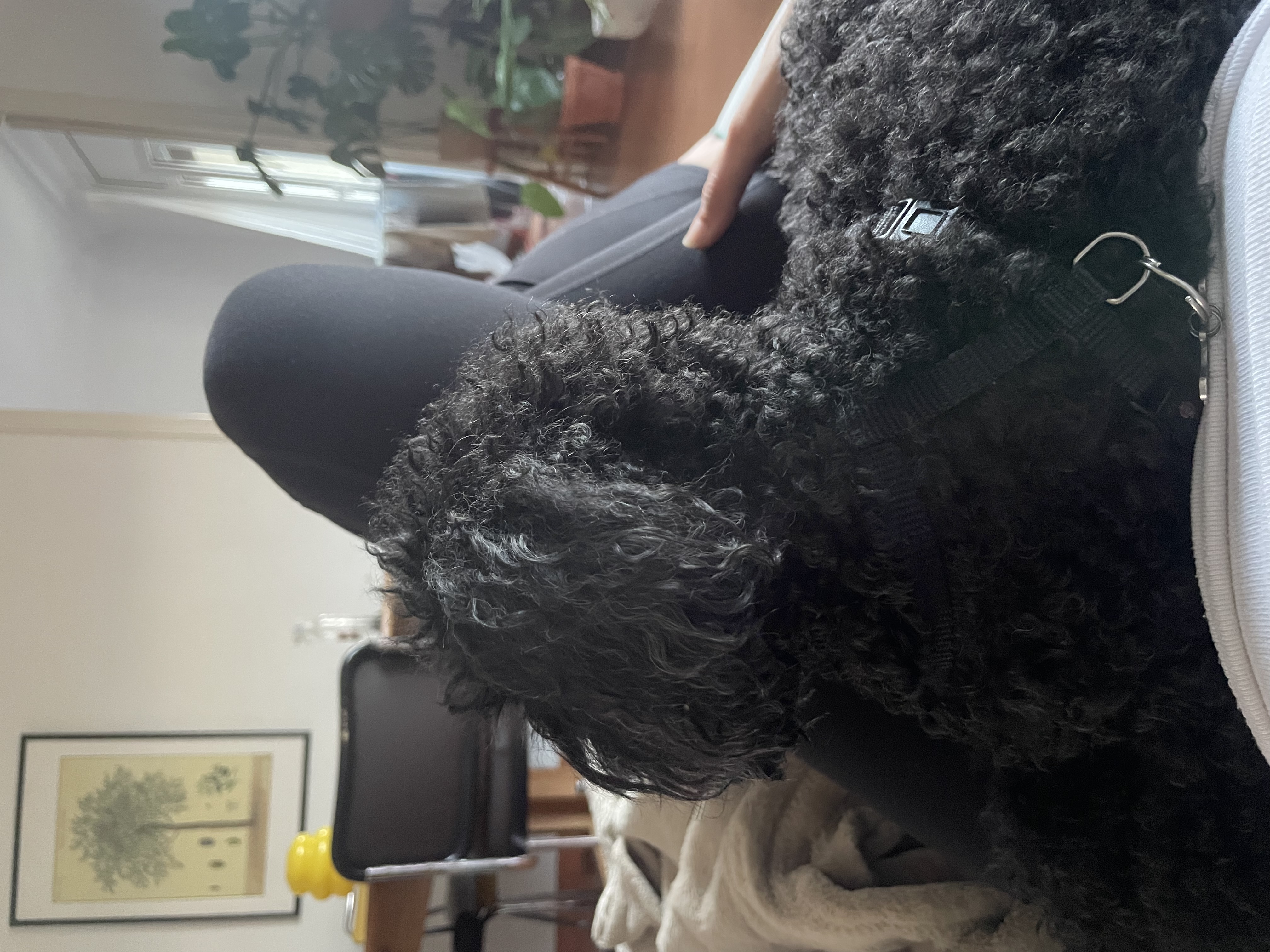 image-13