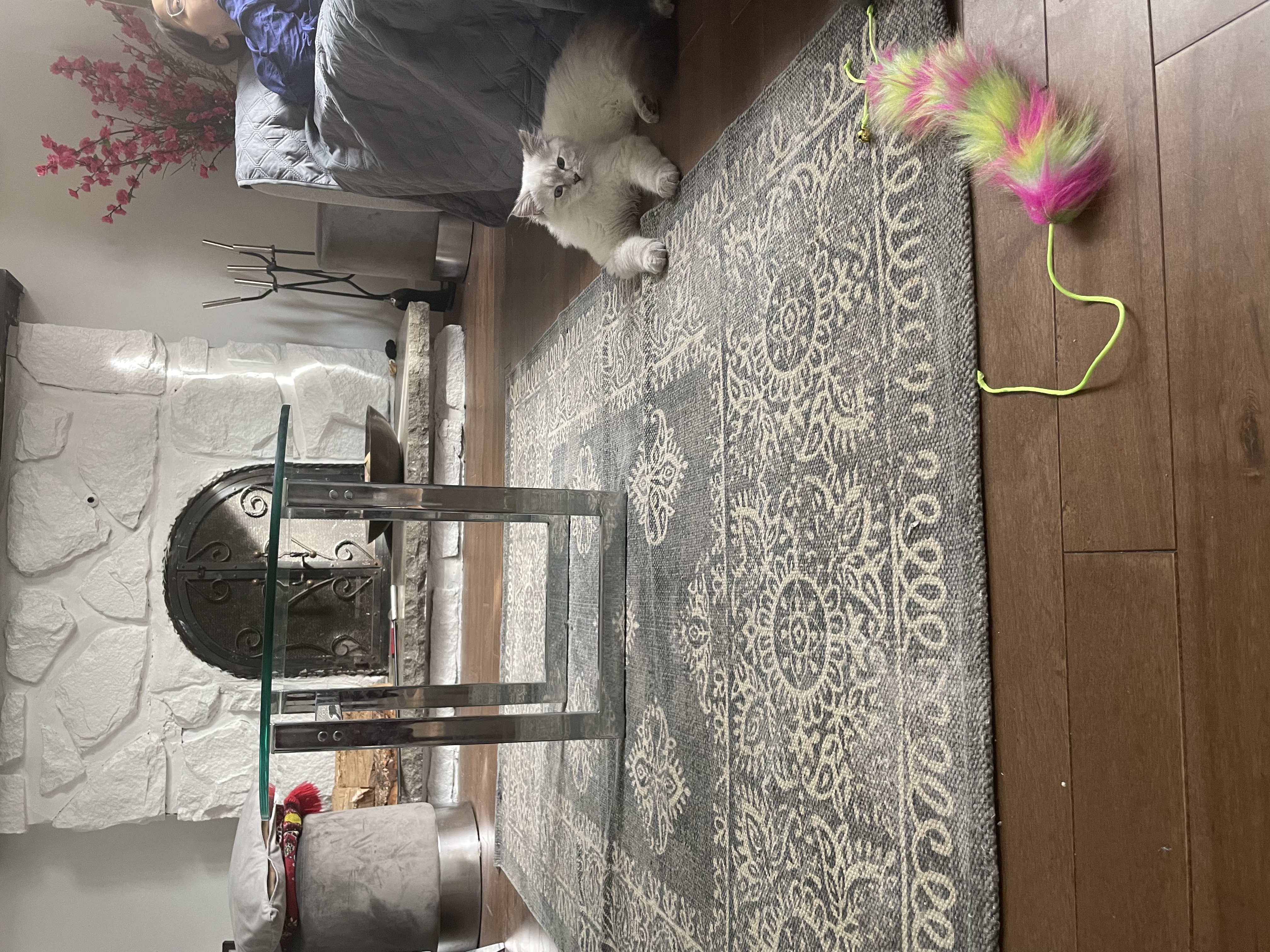 image-16