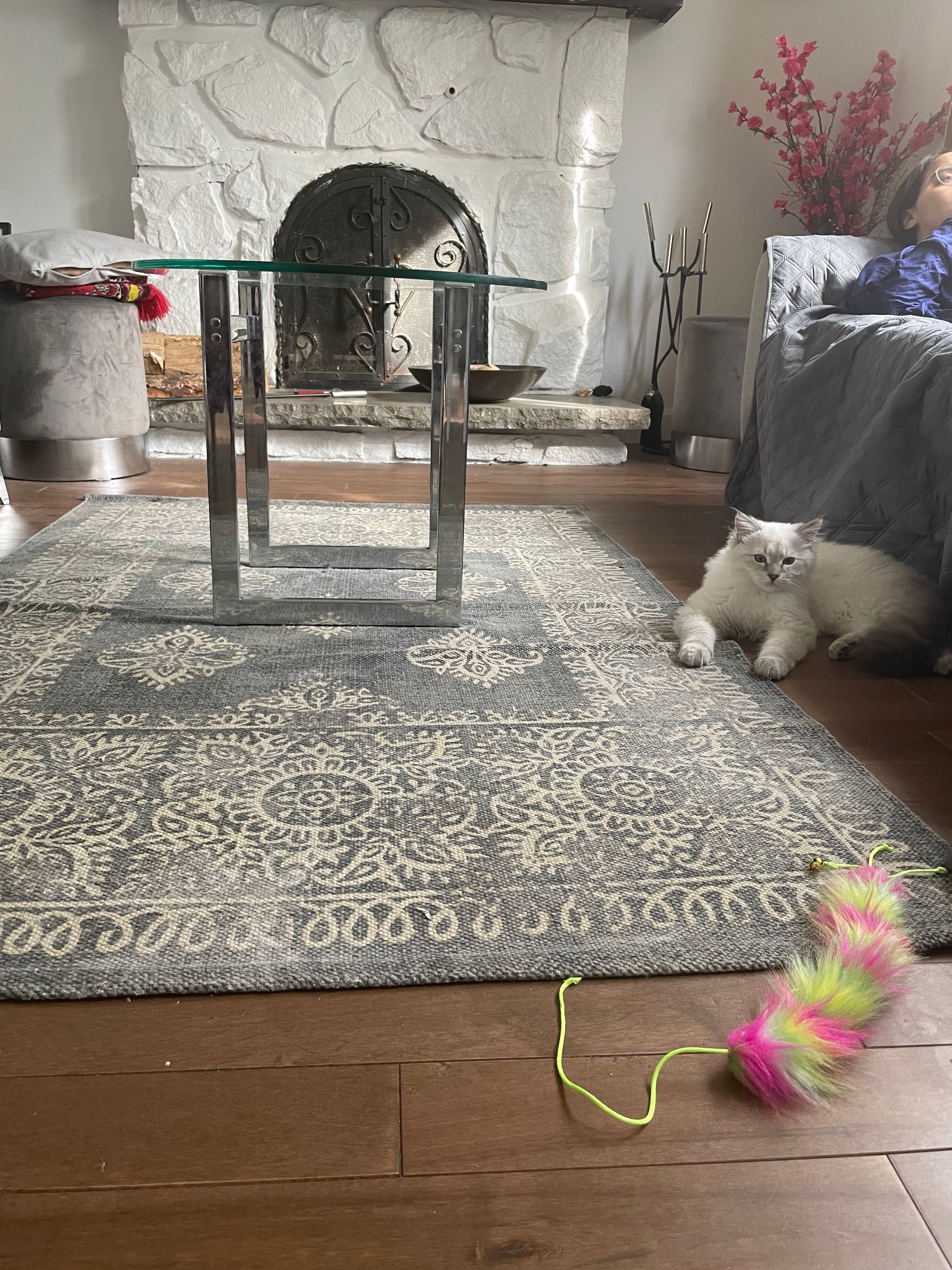 image-16