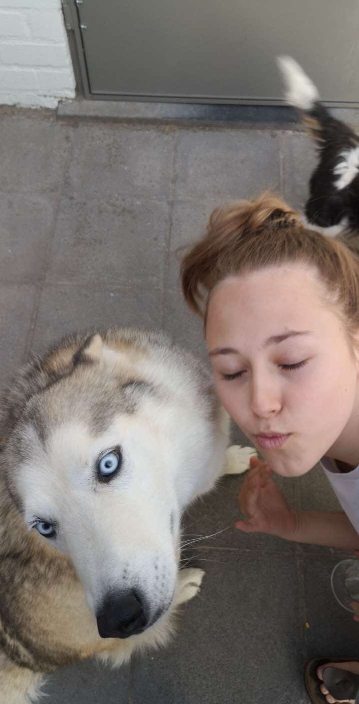 image-6