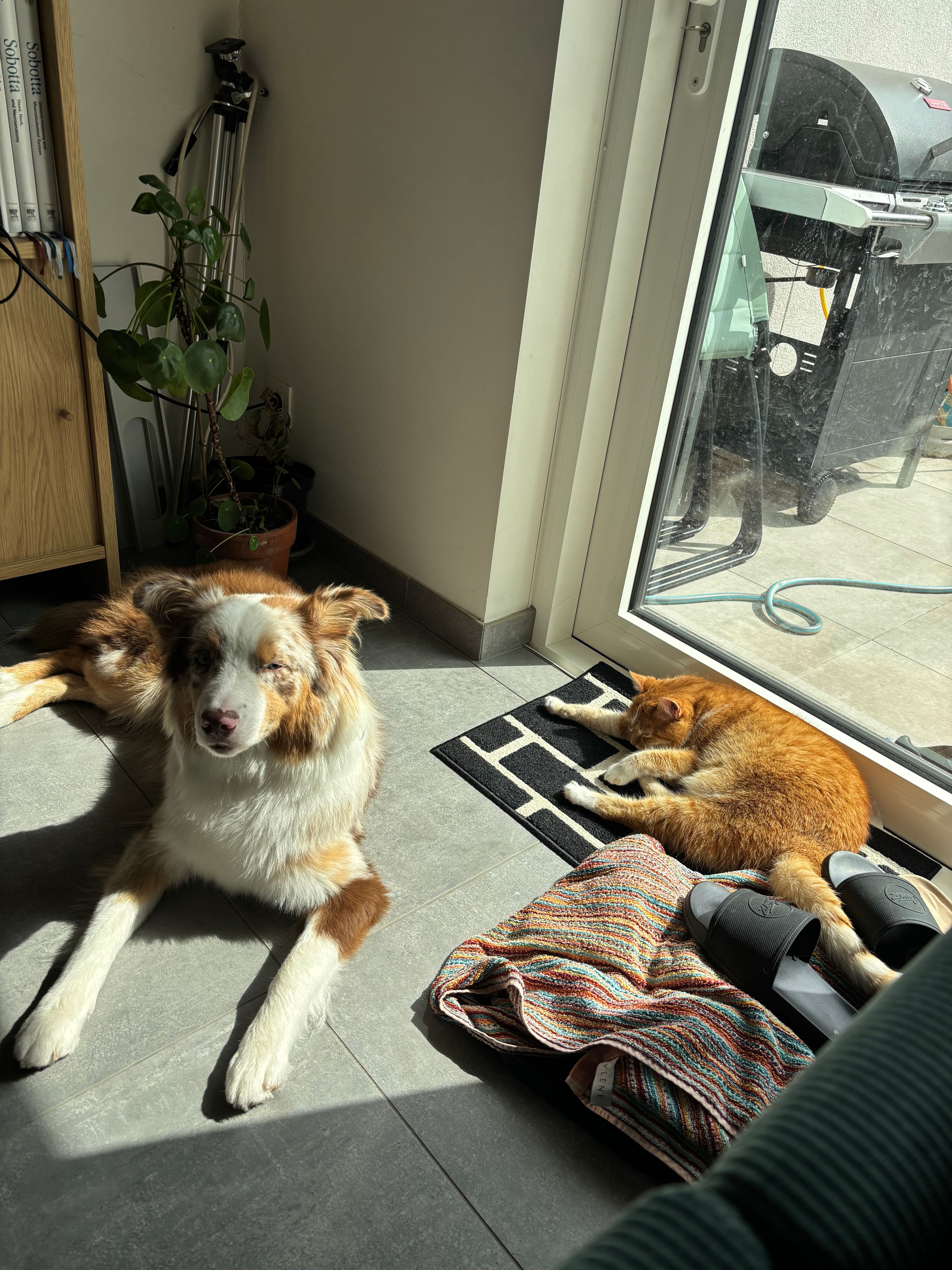 image-19