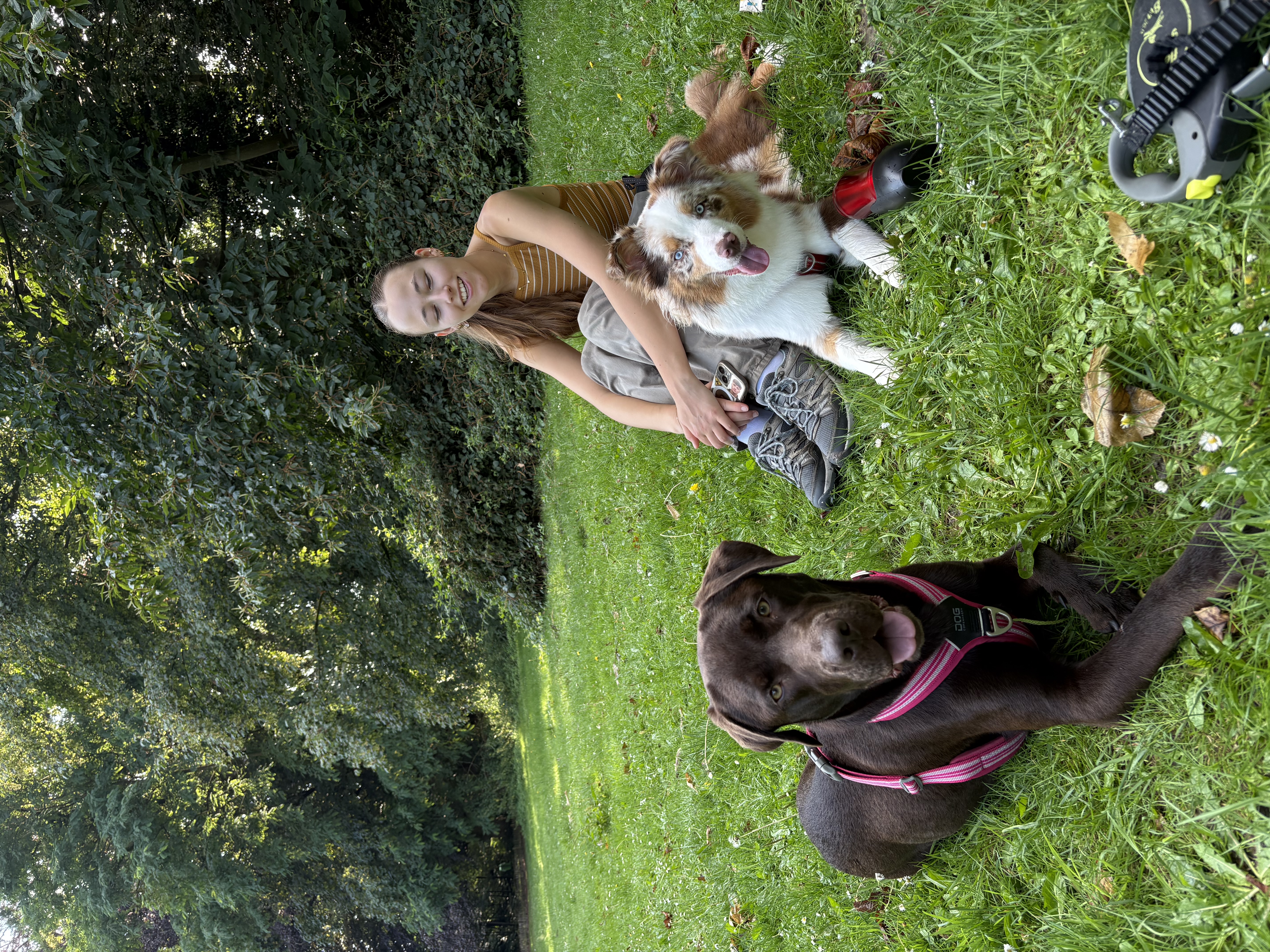 image-12