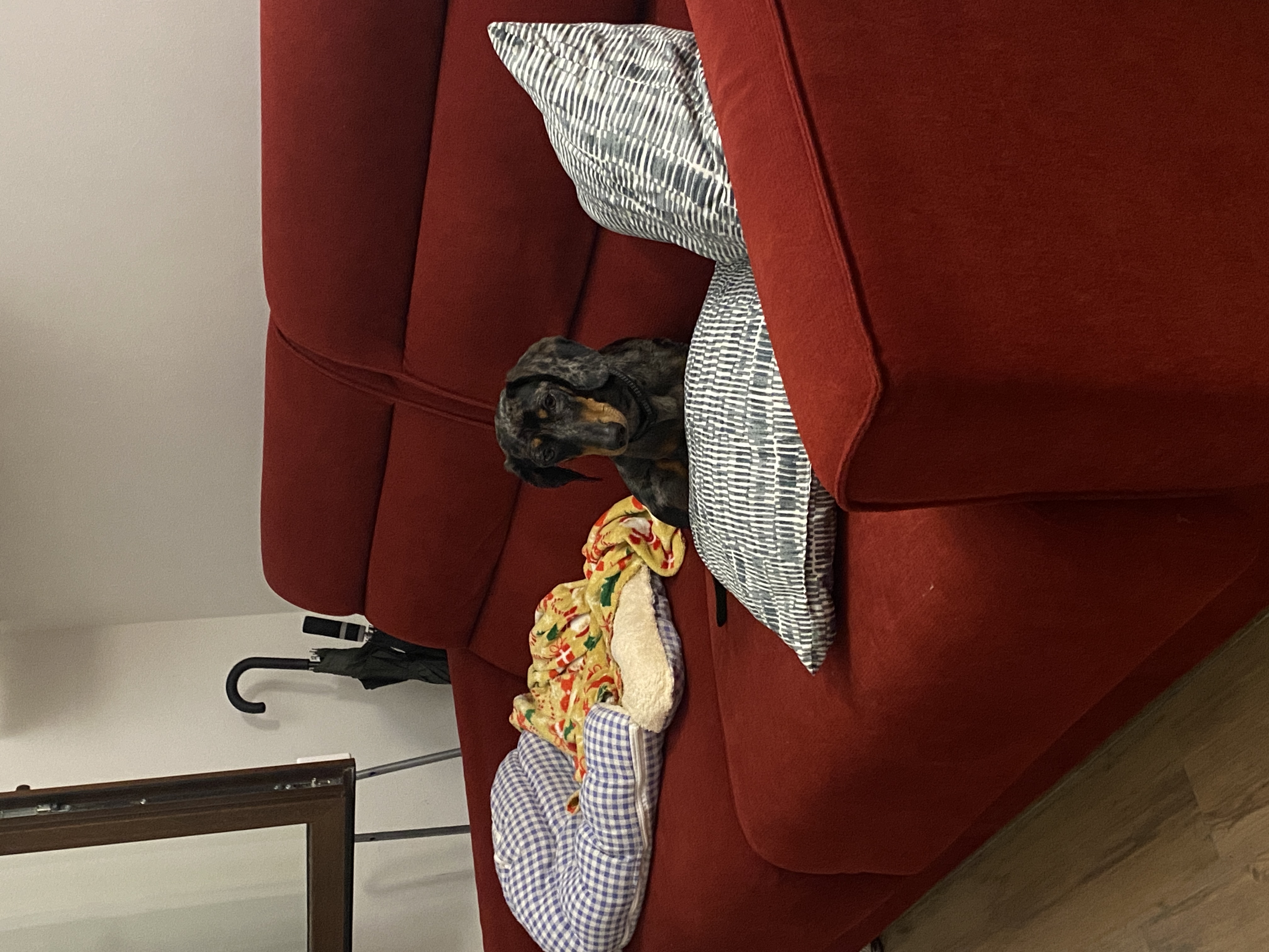 image-12