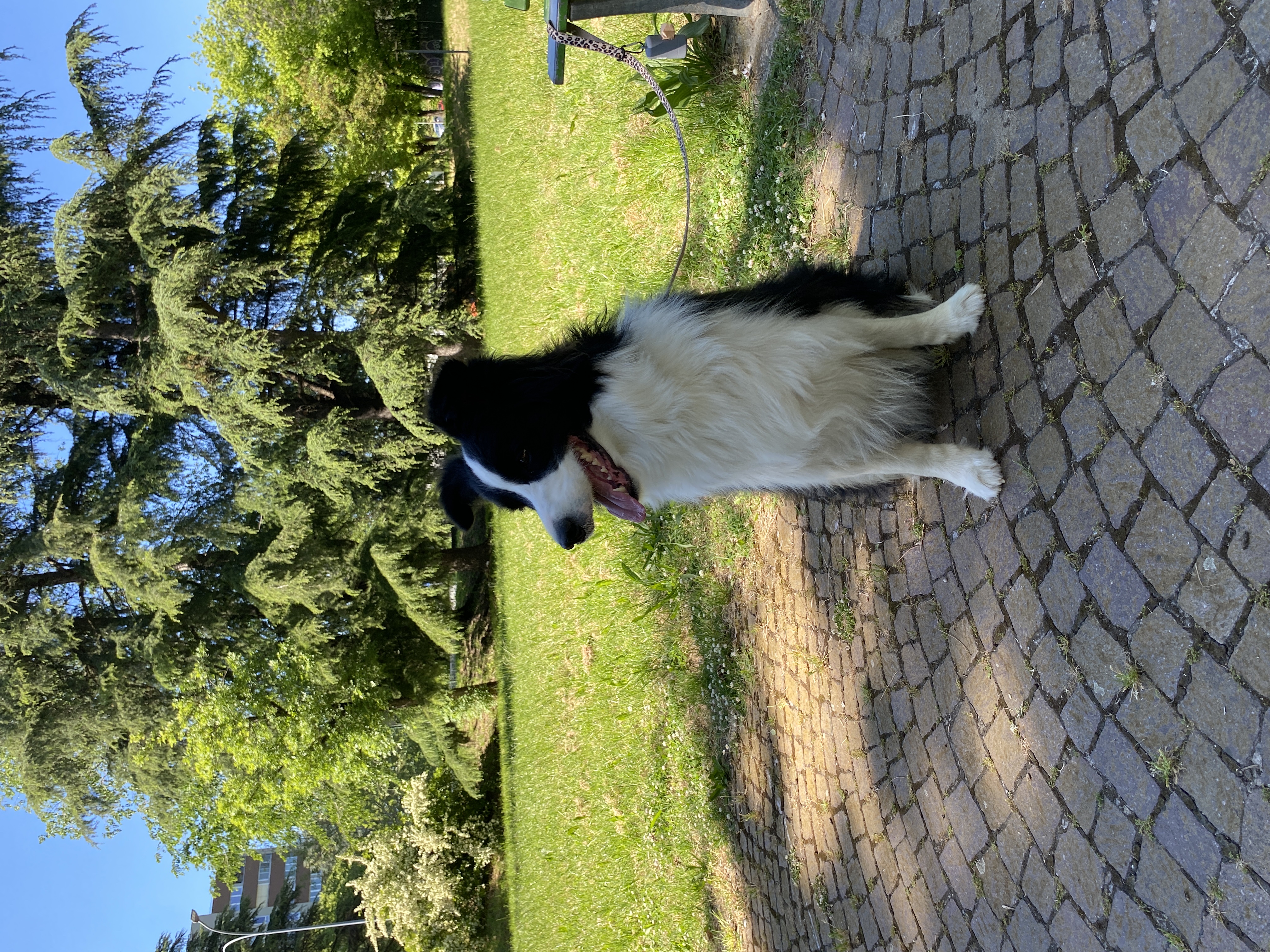 image-8