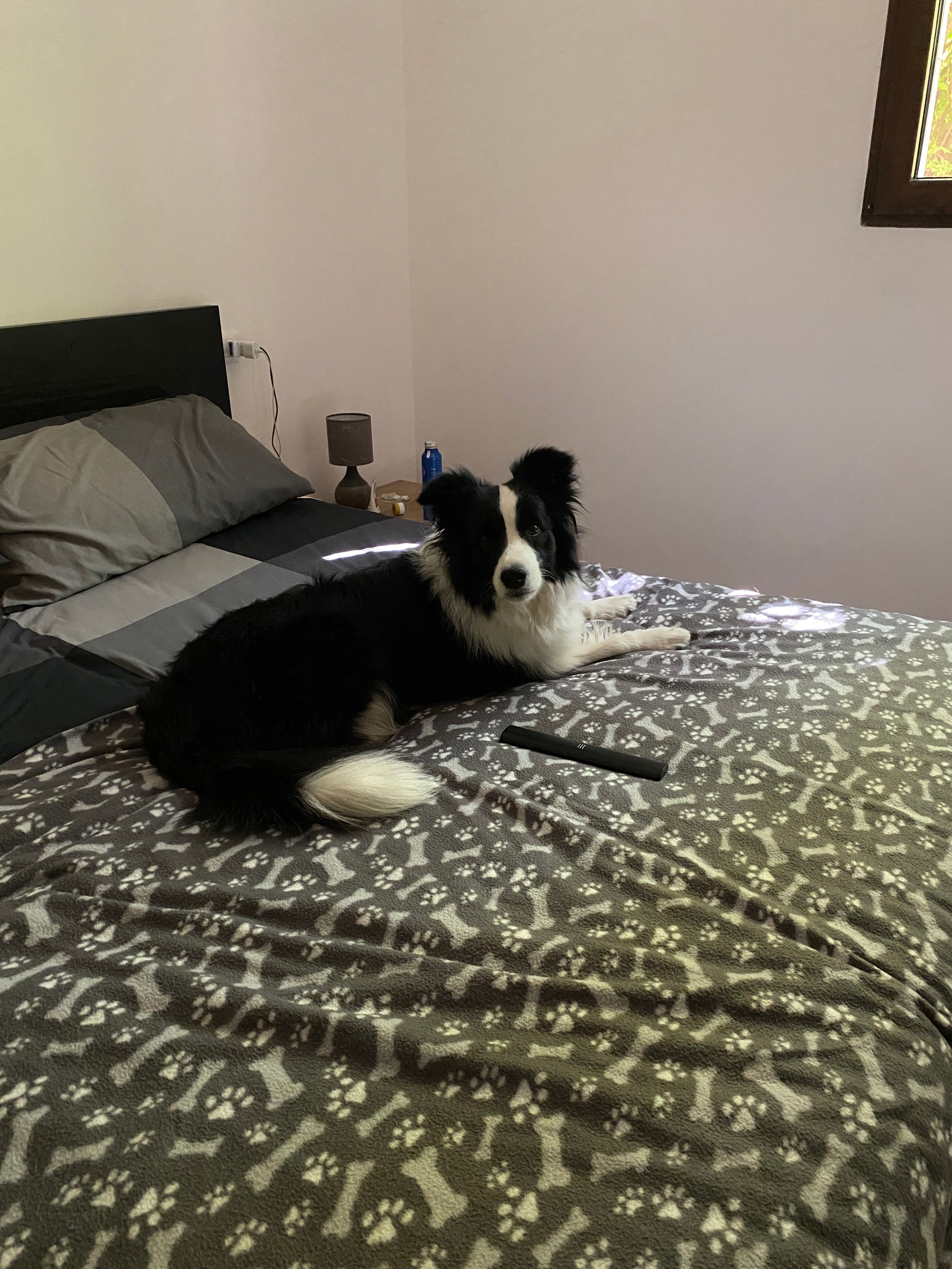 image-10