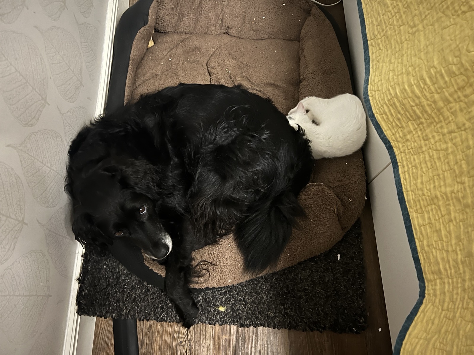 image-8