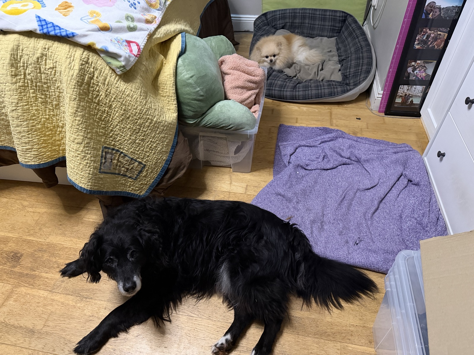 image-13