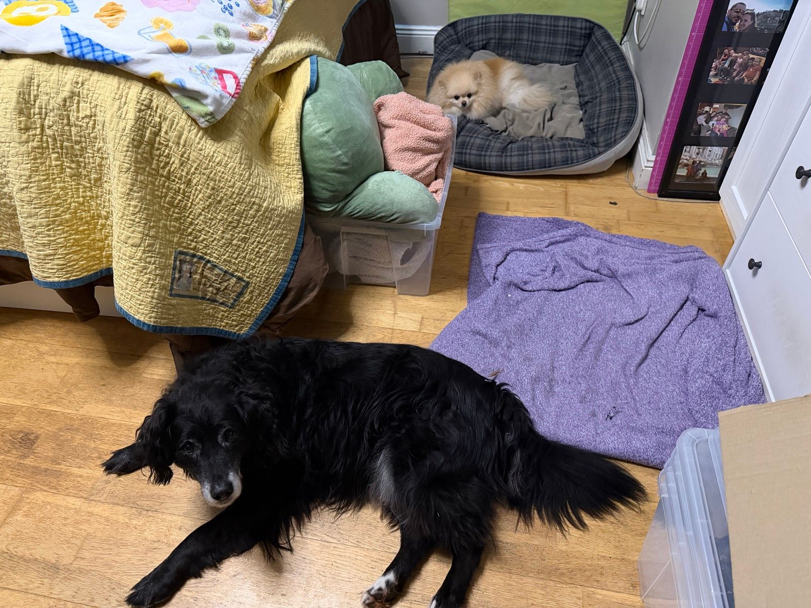 image-13