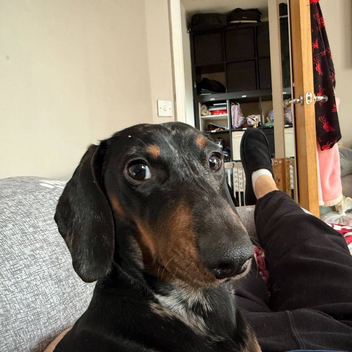 Percy