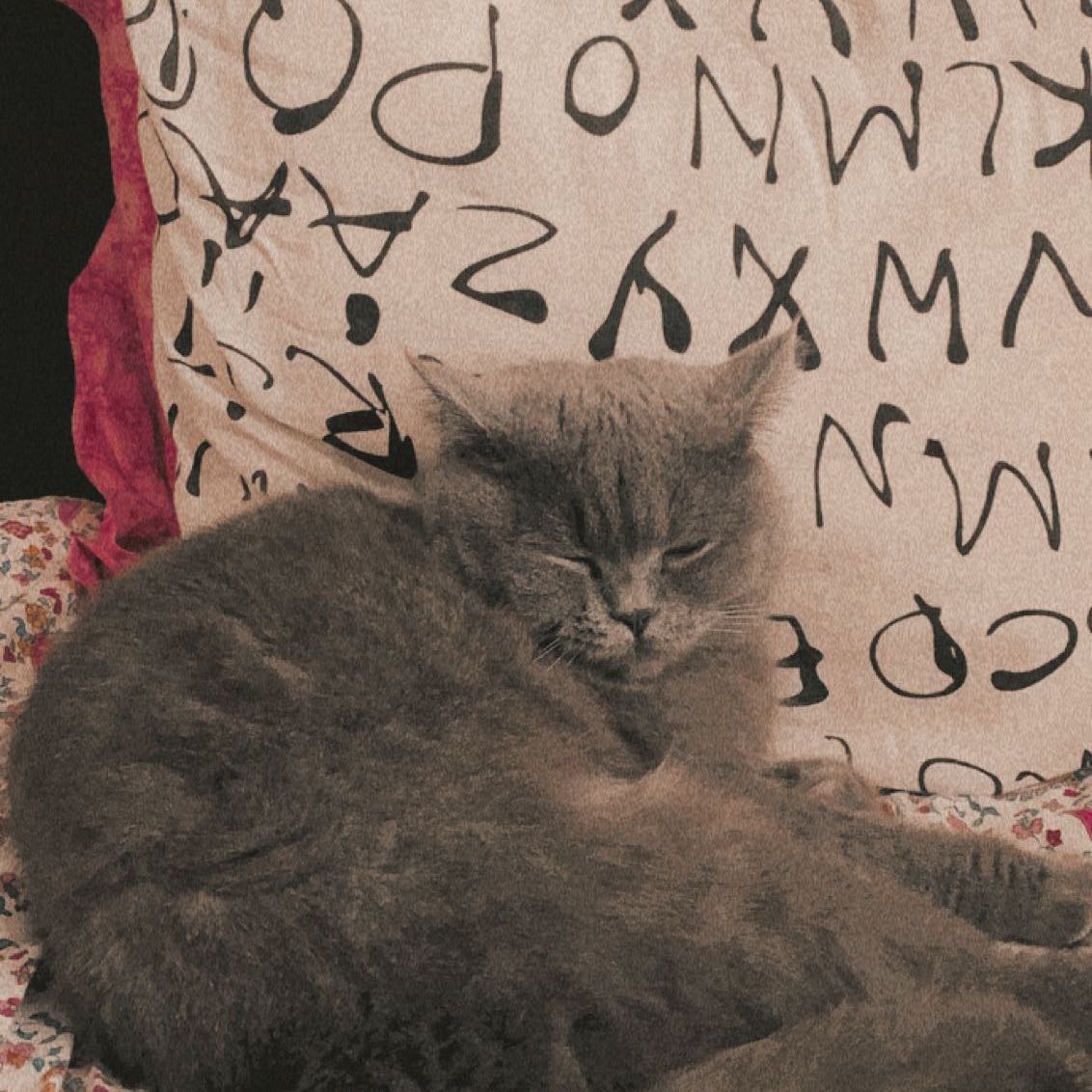misha
