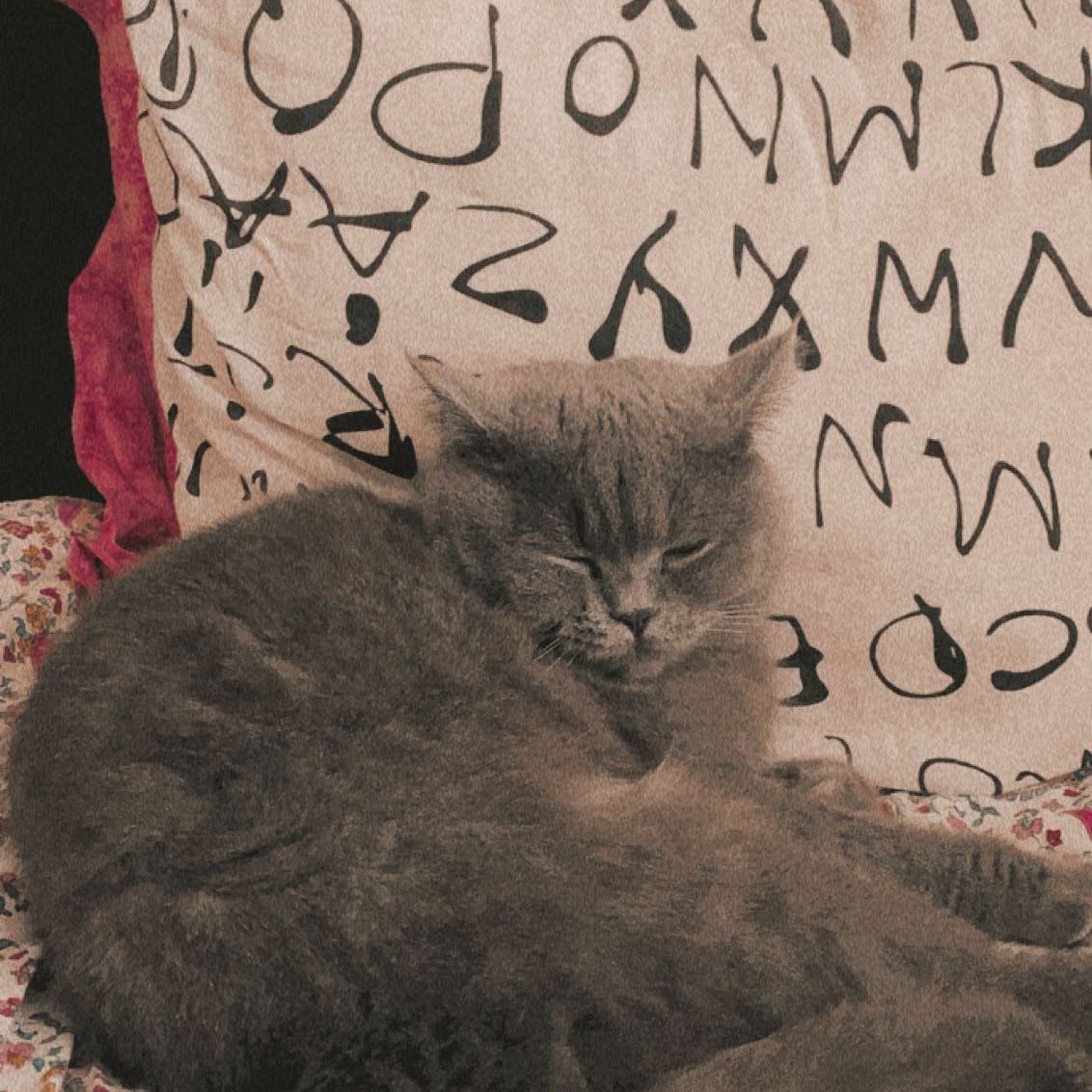 misha