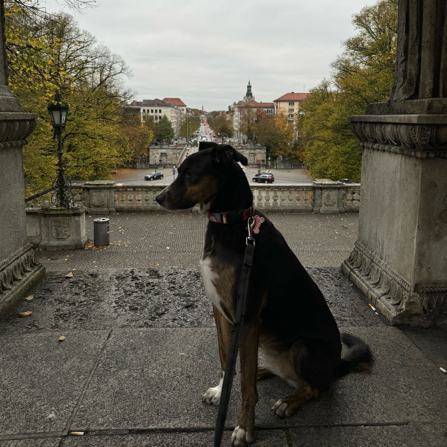 Luna