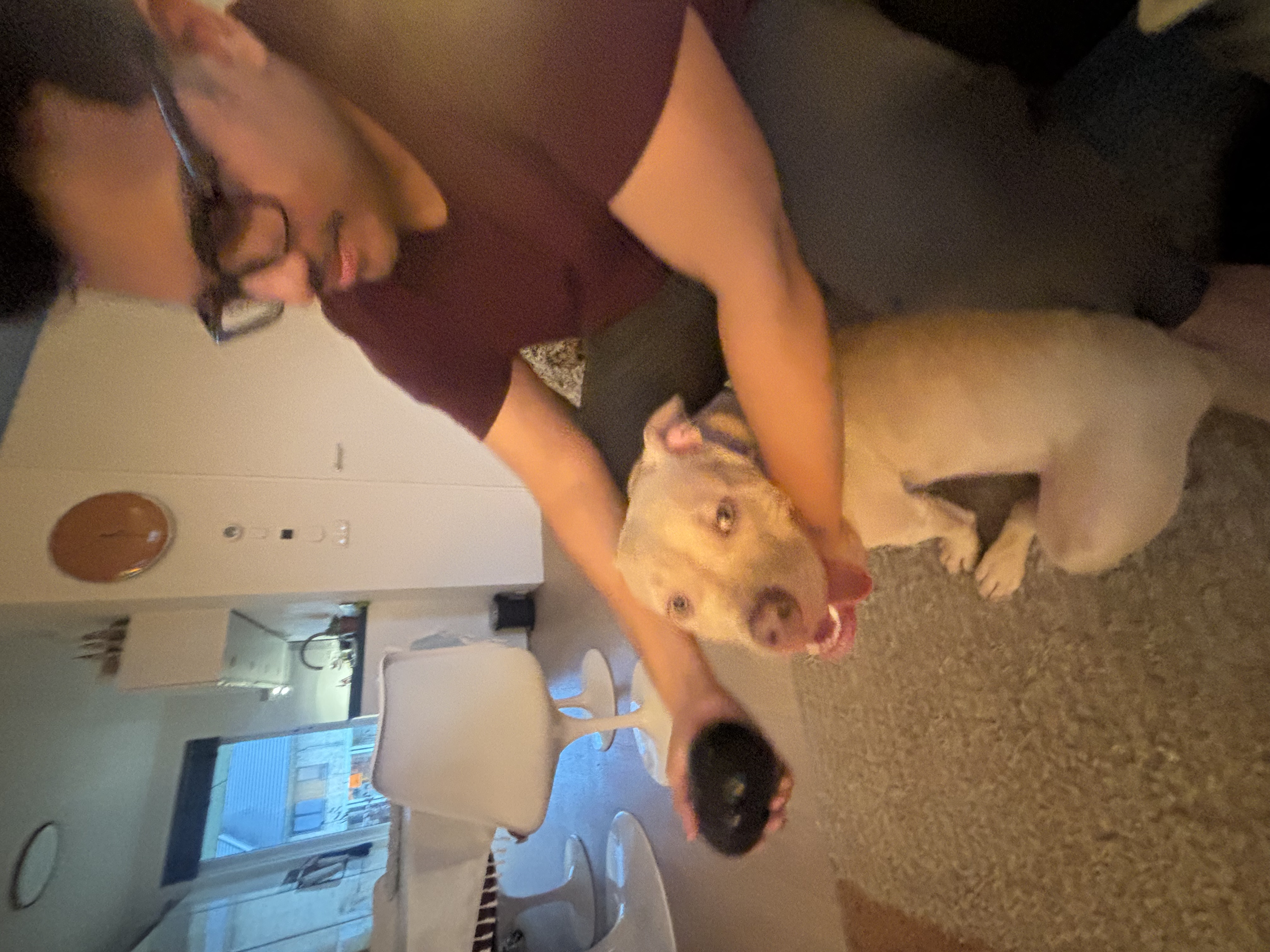 image-7