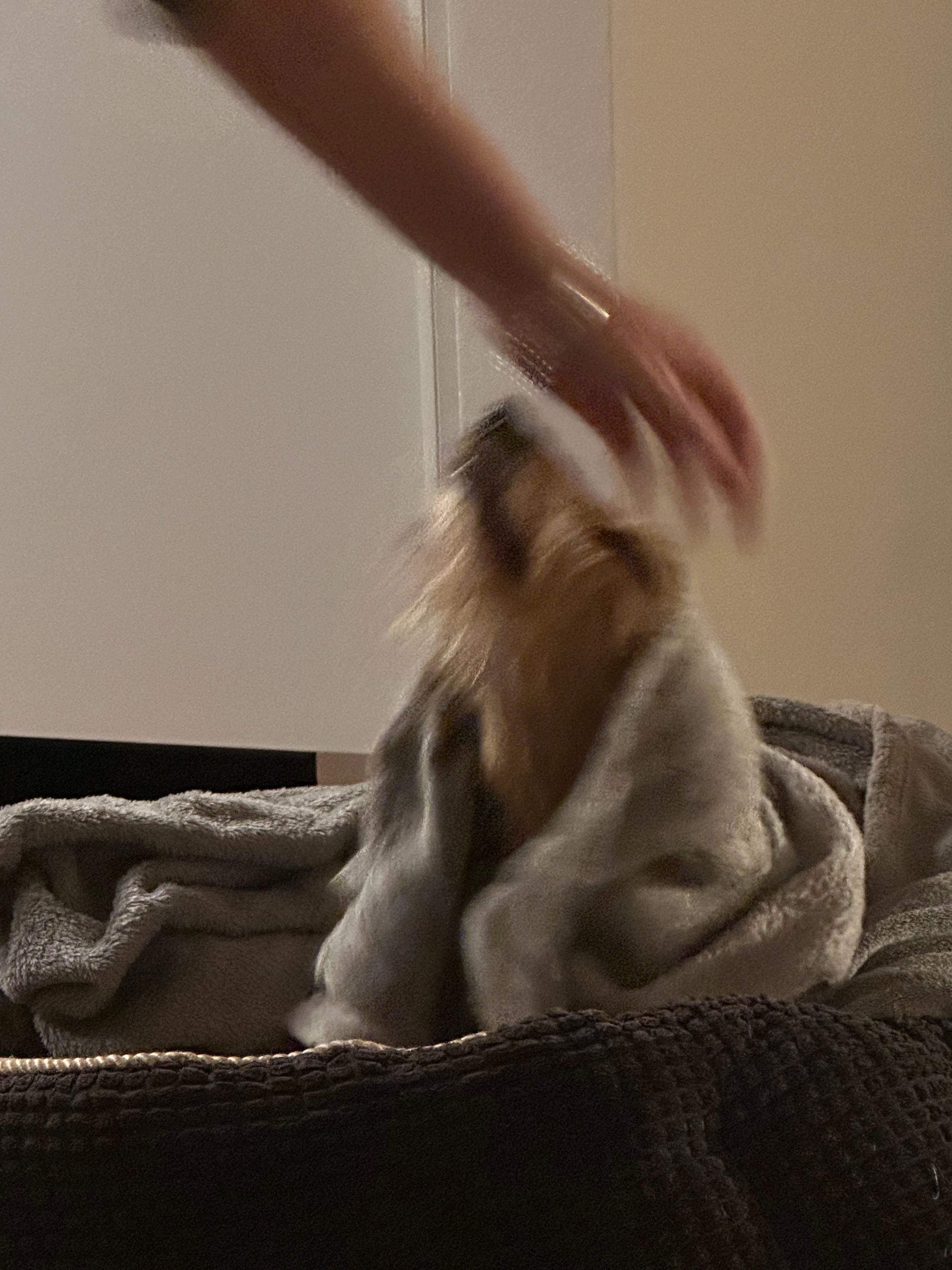 image-7