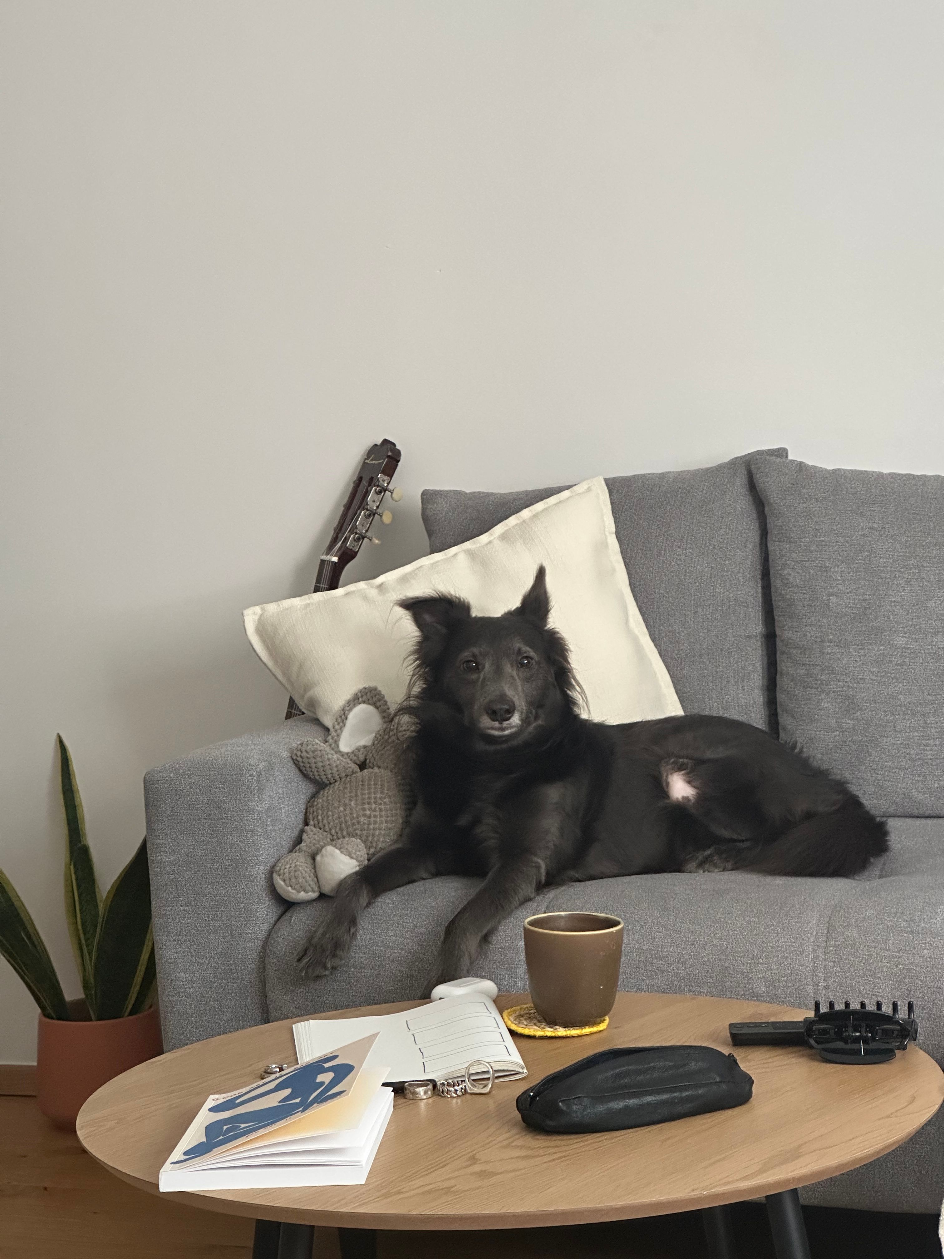 image-5