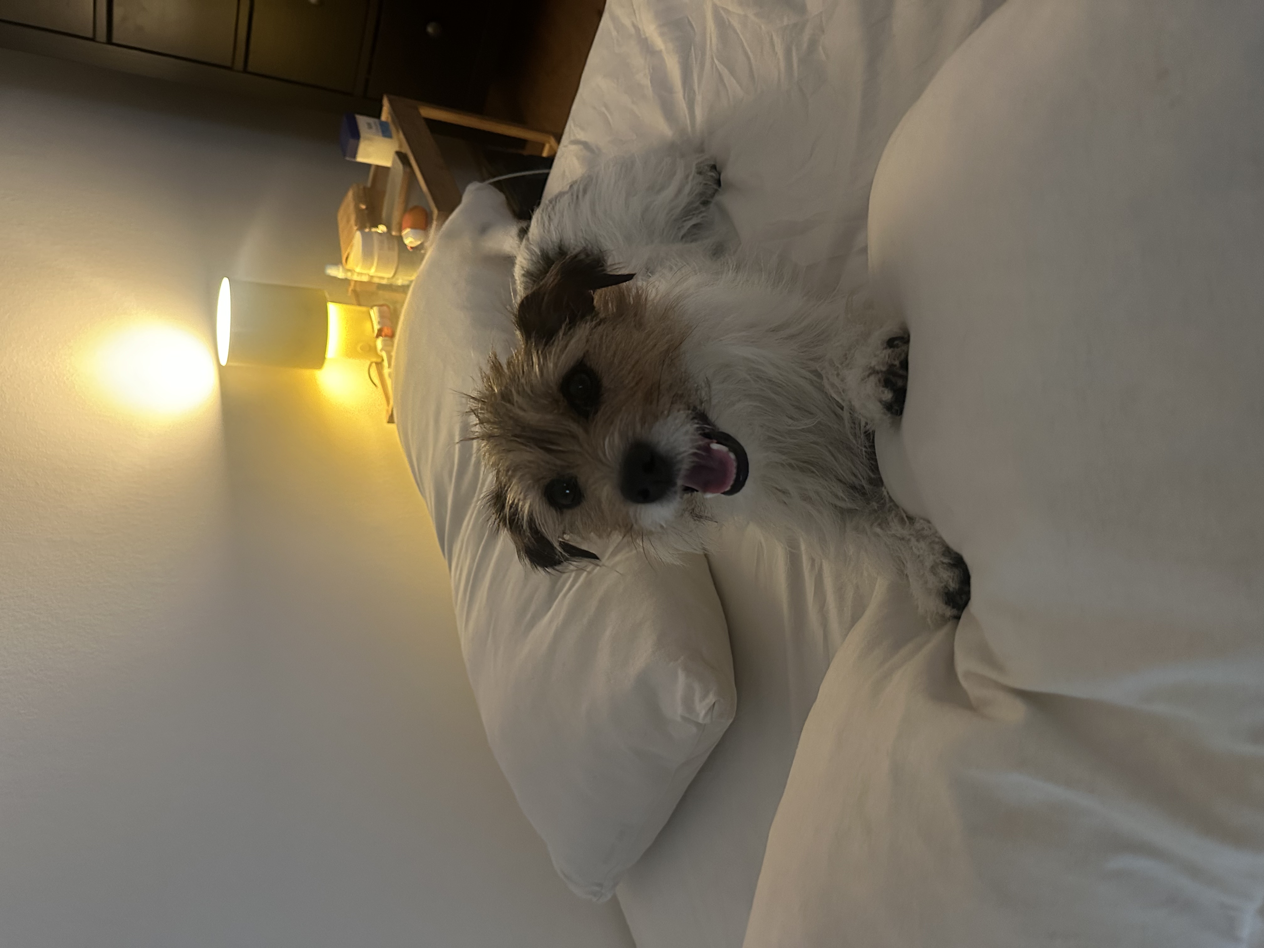 image-6