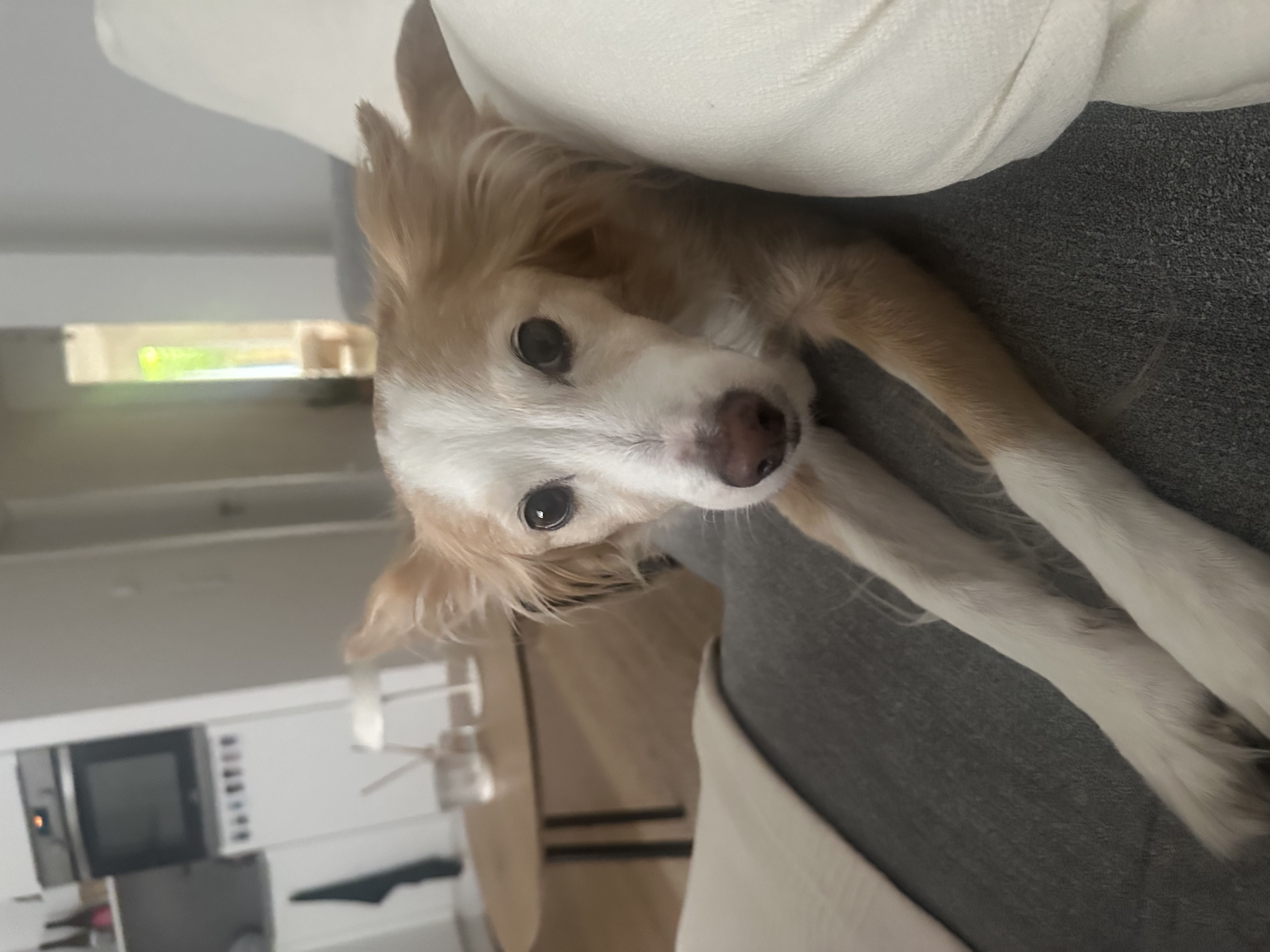 image-8