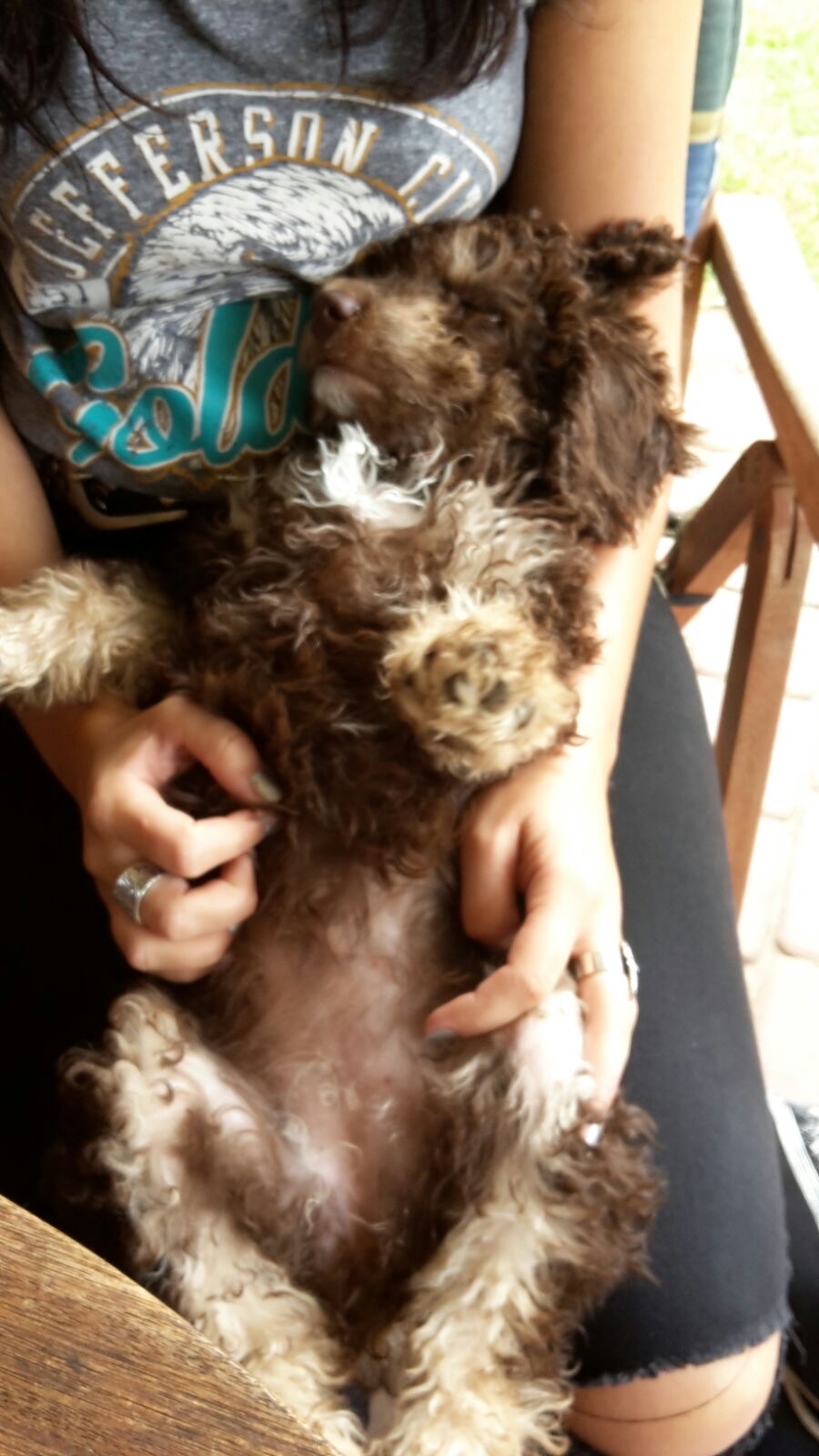 image-9