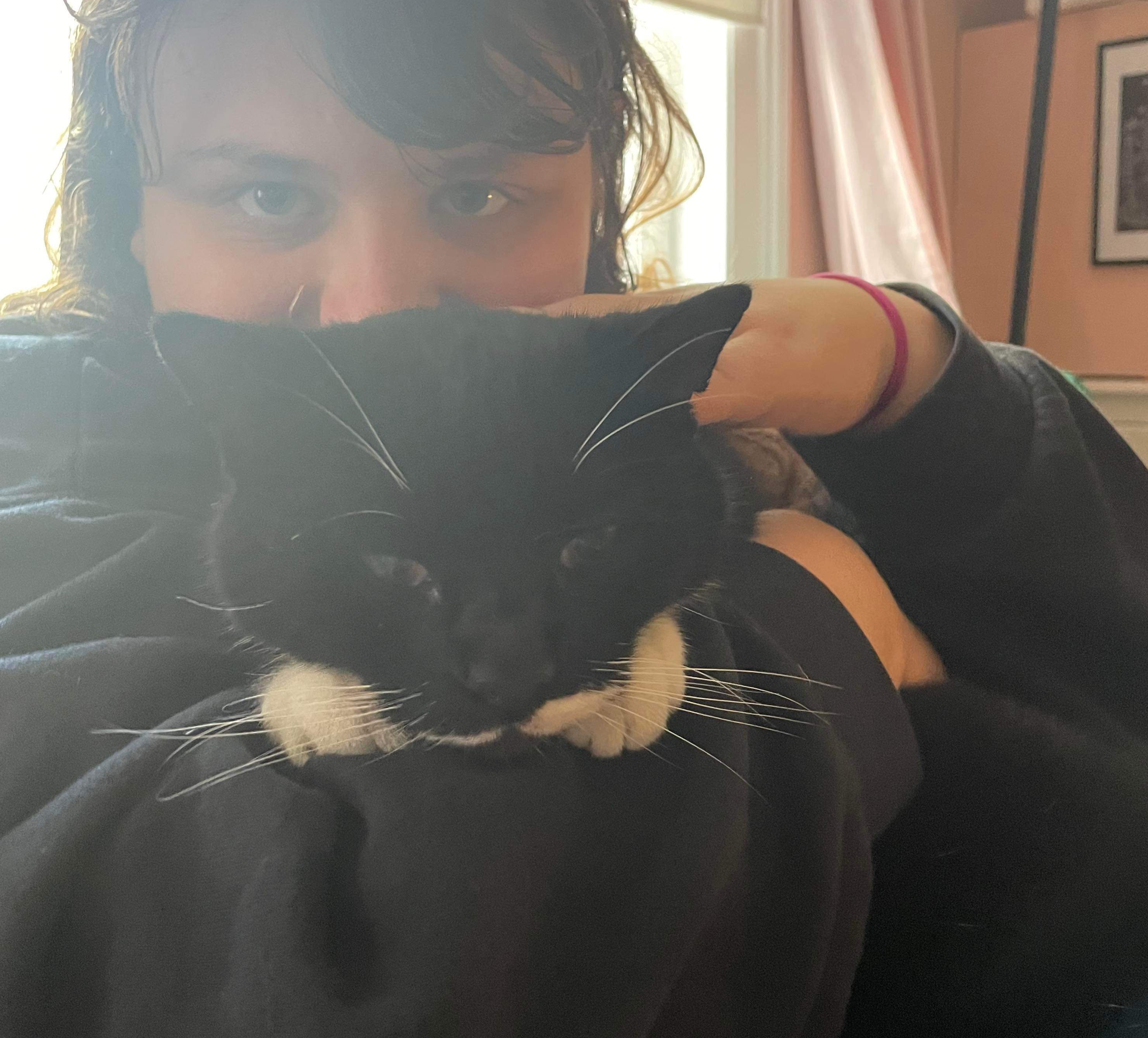 image-8