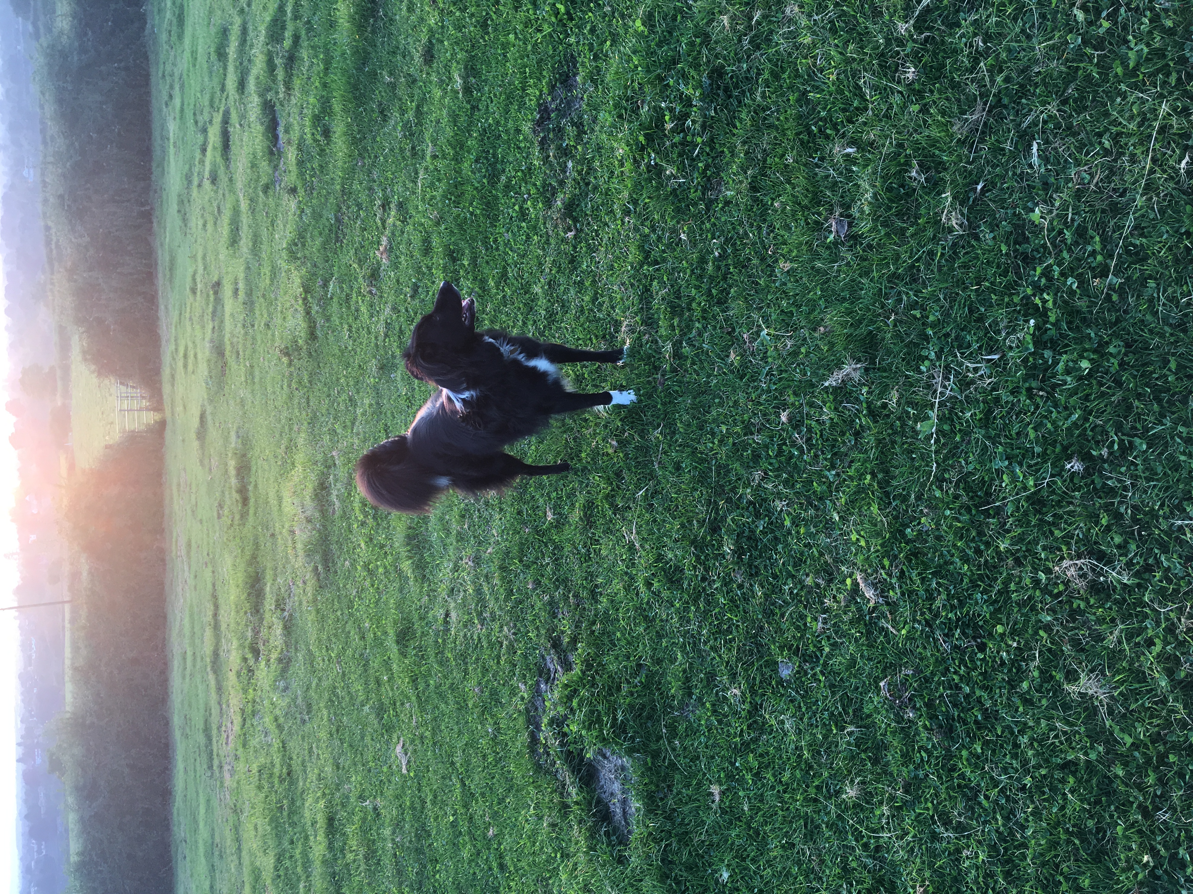 image-13