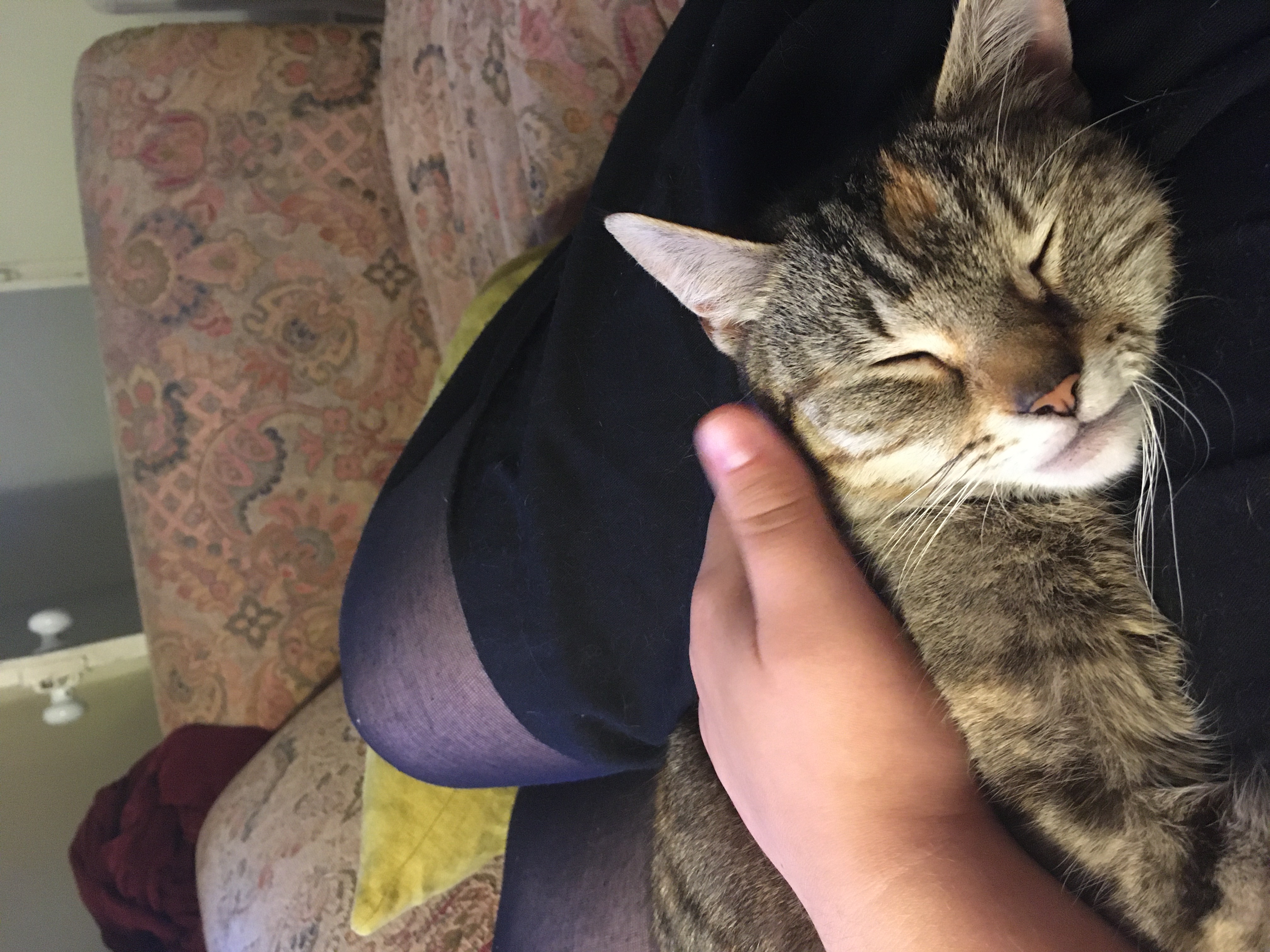 image-6