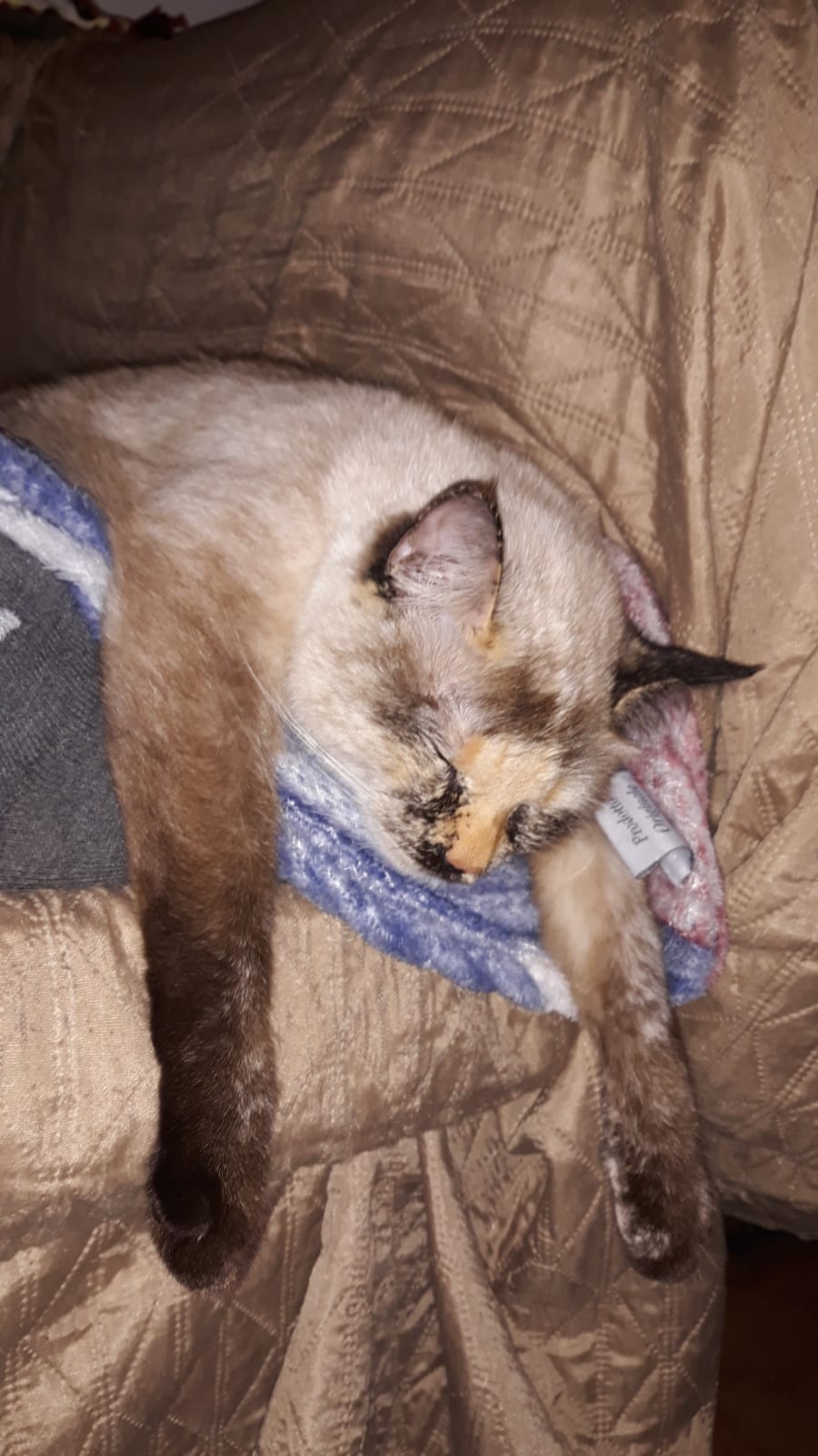 image-5